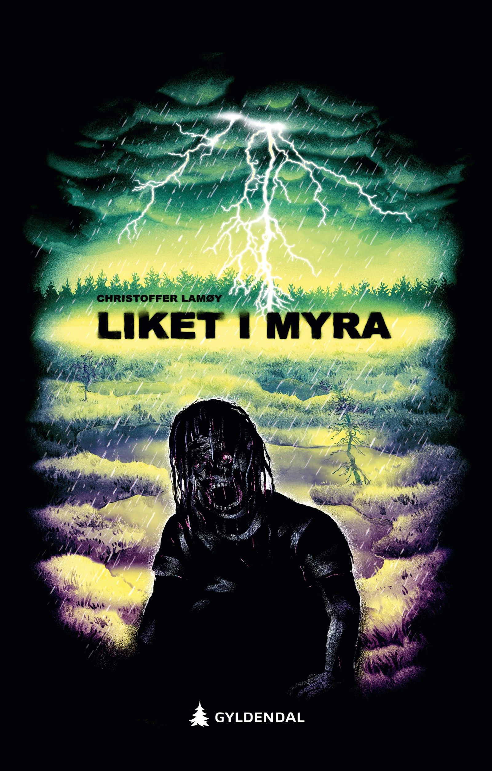 Cover of The Bog Corpse