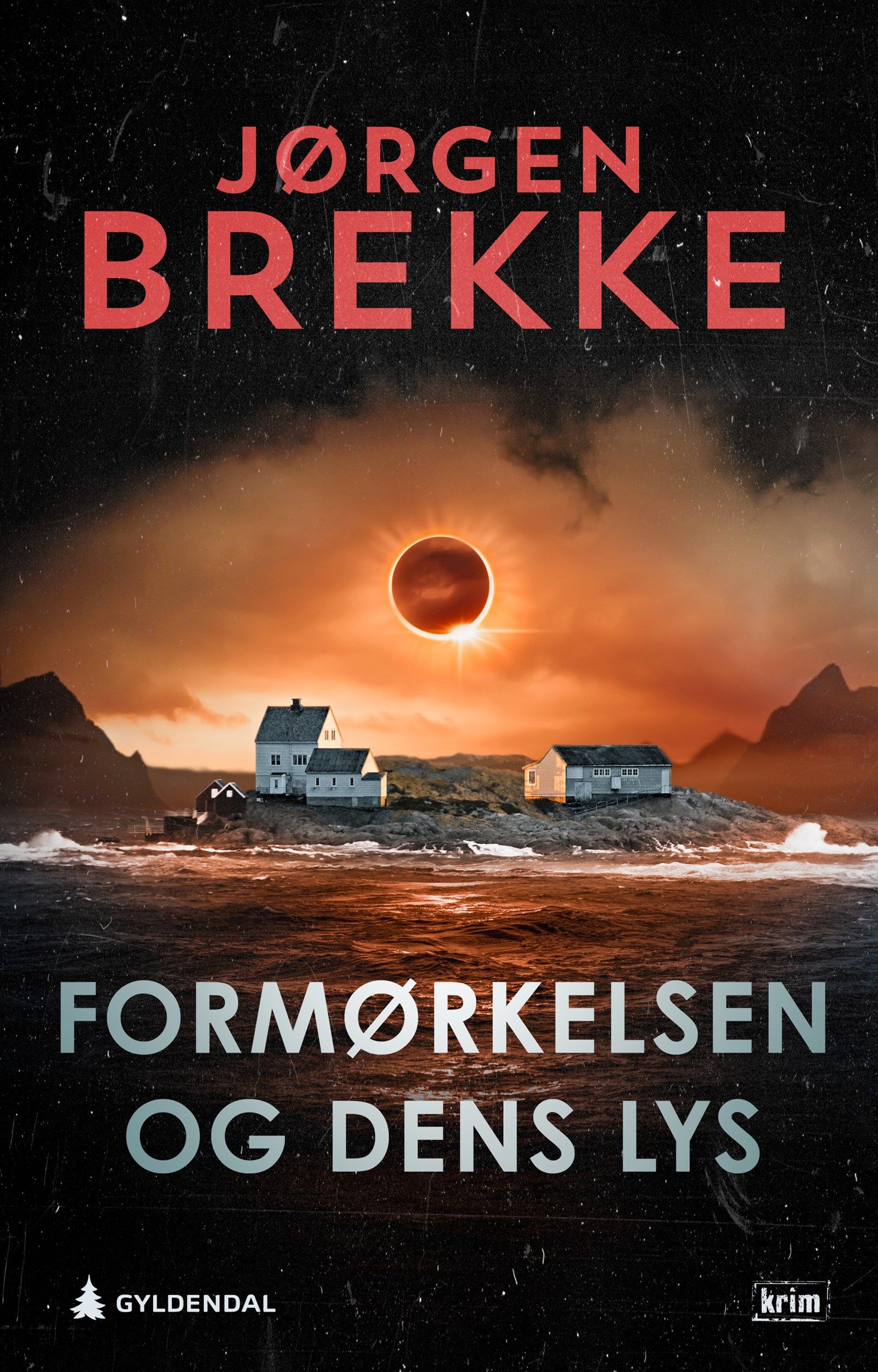 Cover of The Eclipse and the Light