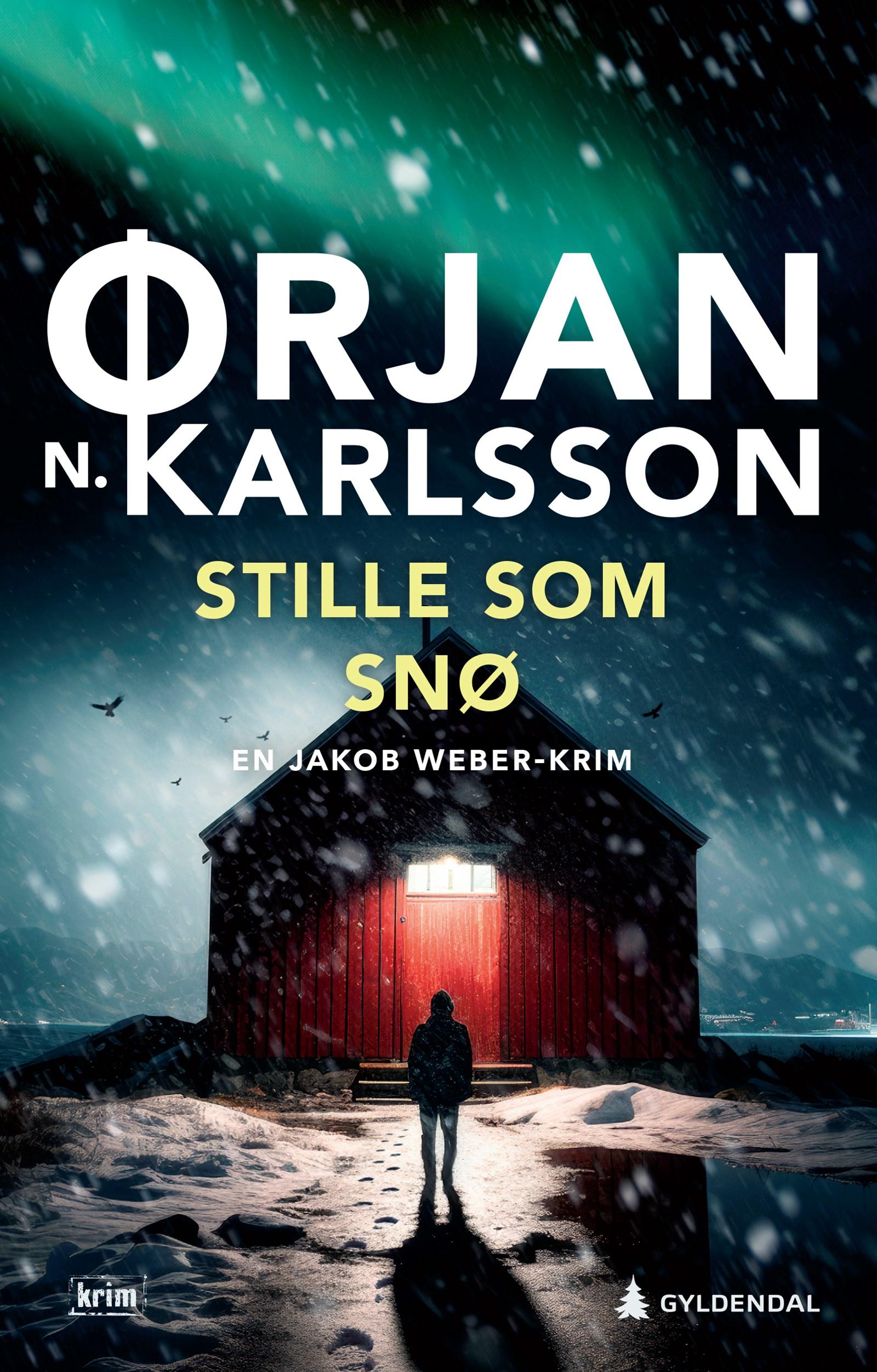 Cover of Quiet as snow
