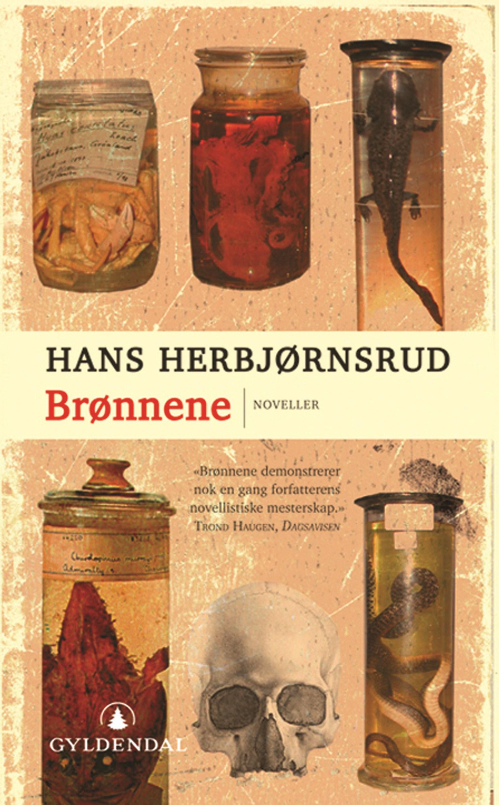 Cover of The Wells