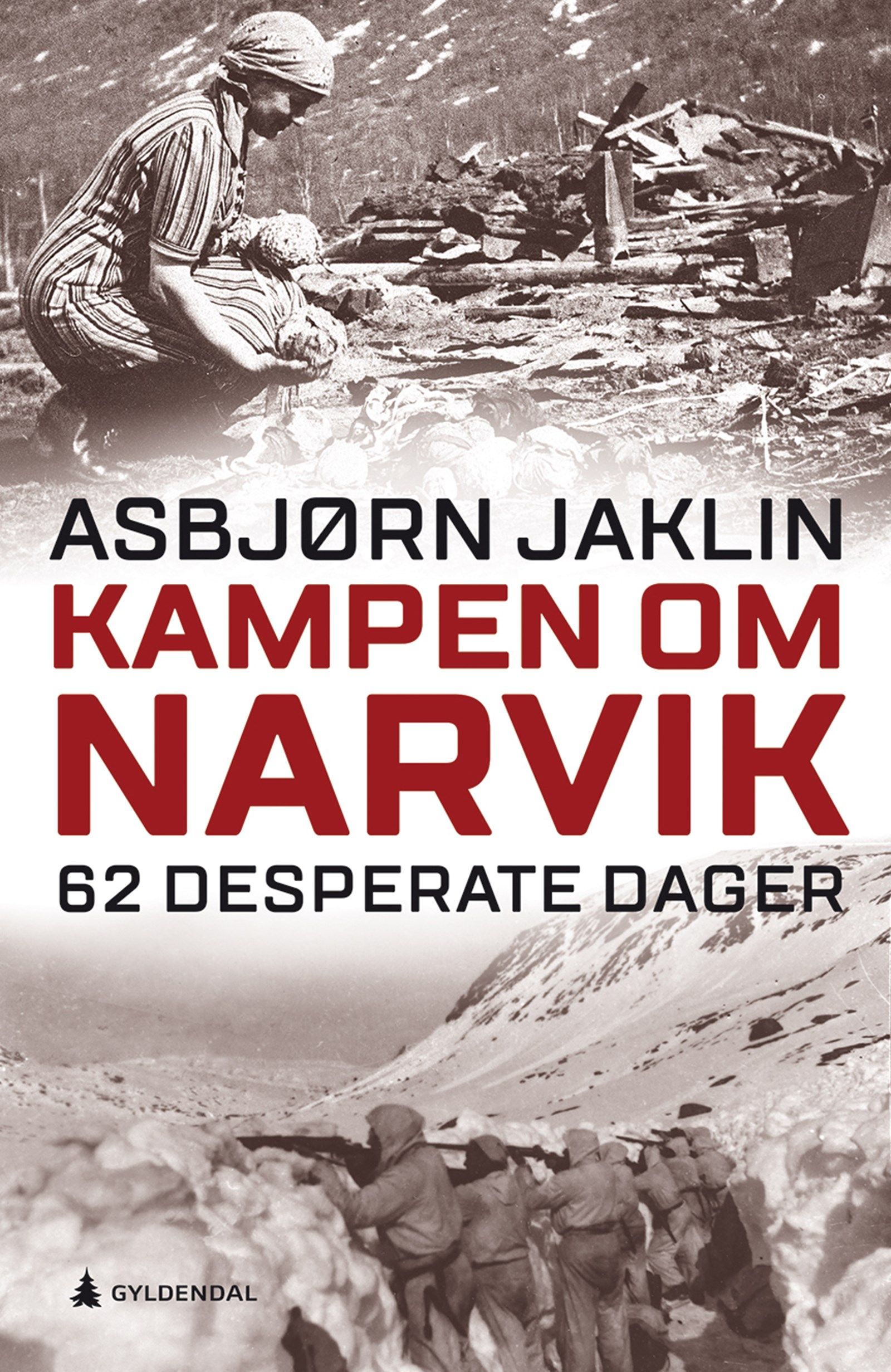 Cover of The Battle of Narvik