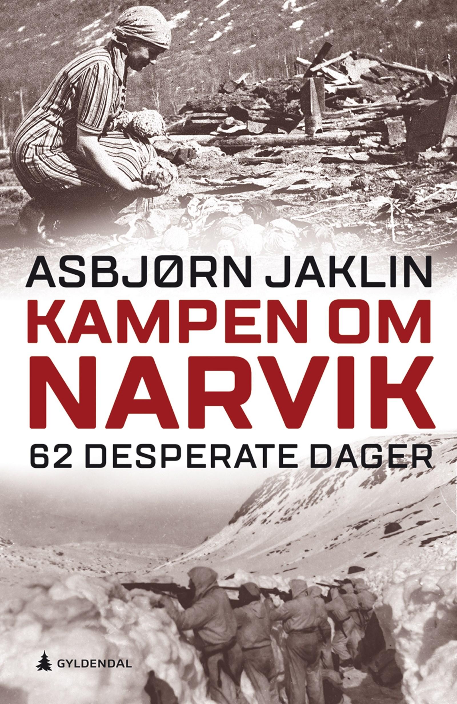 Cover of The Battle of Narvik