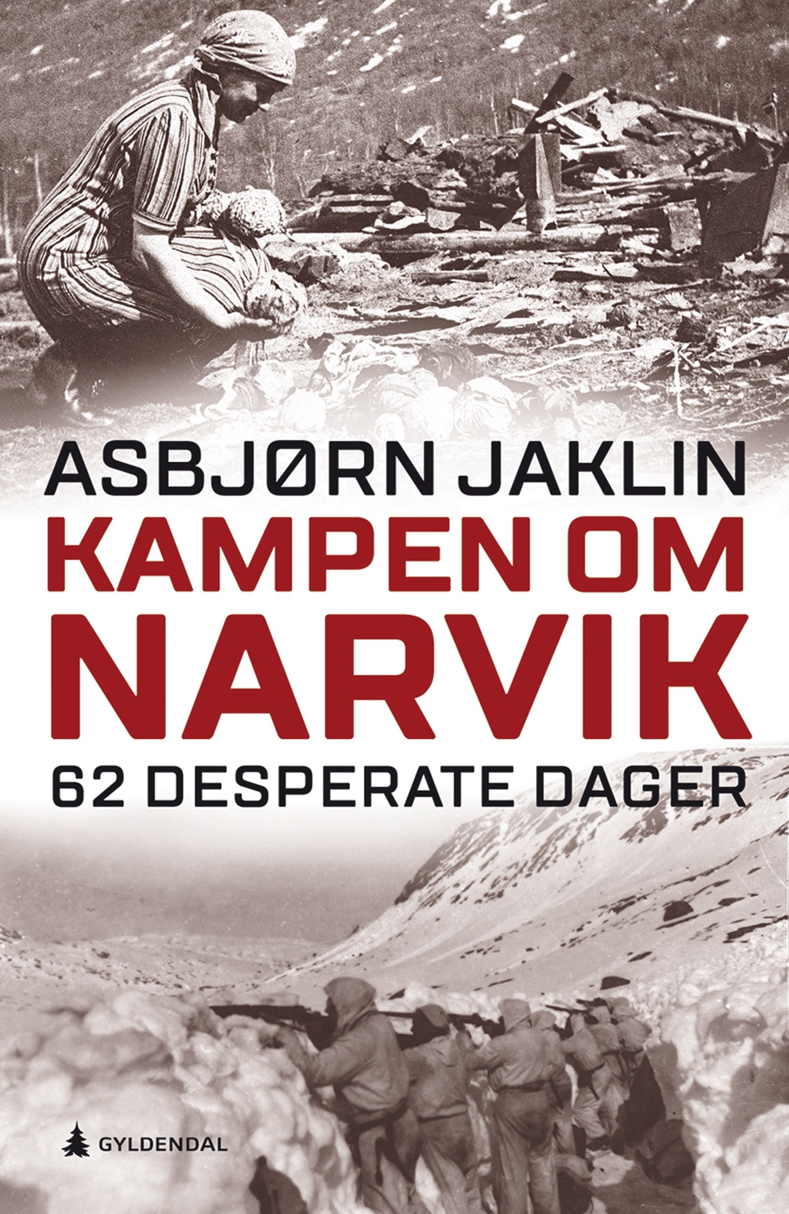 Cover of The Battle of Narvik