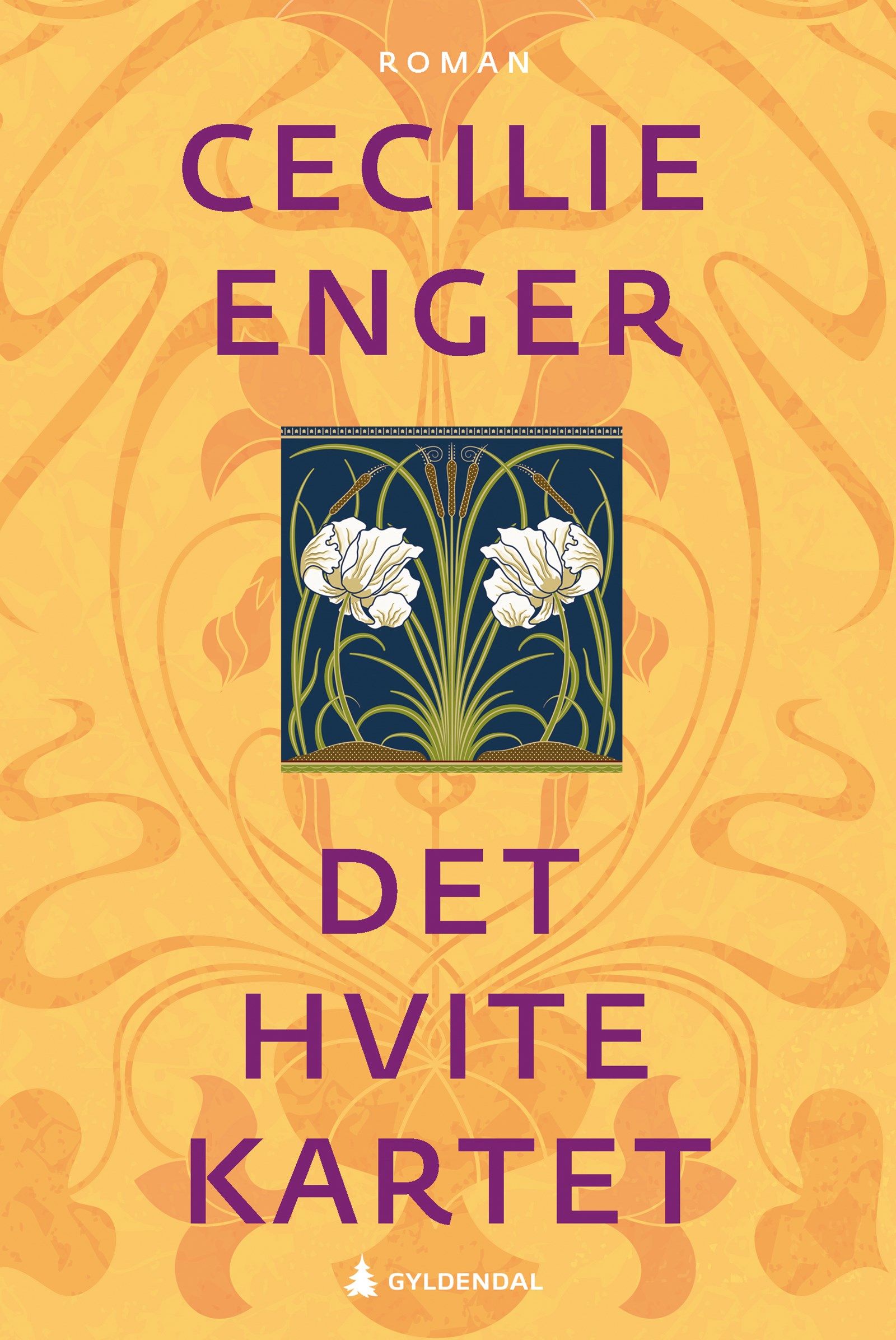 Cover of The White Map