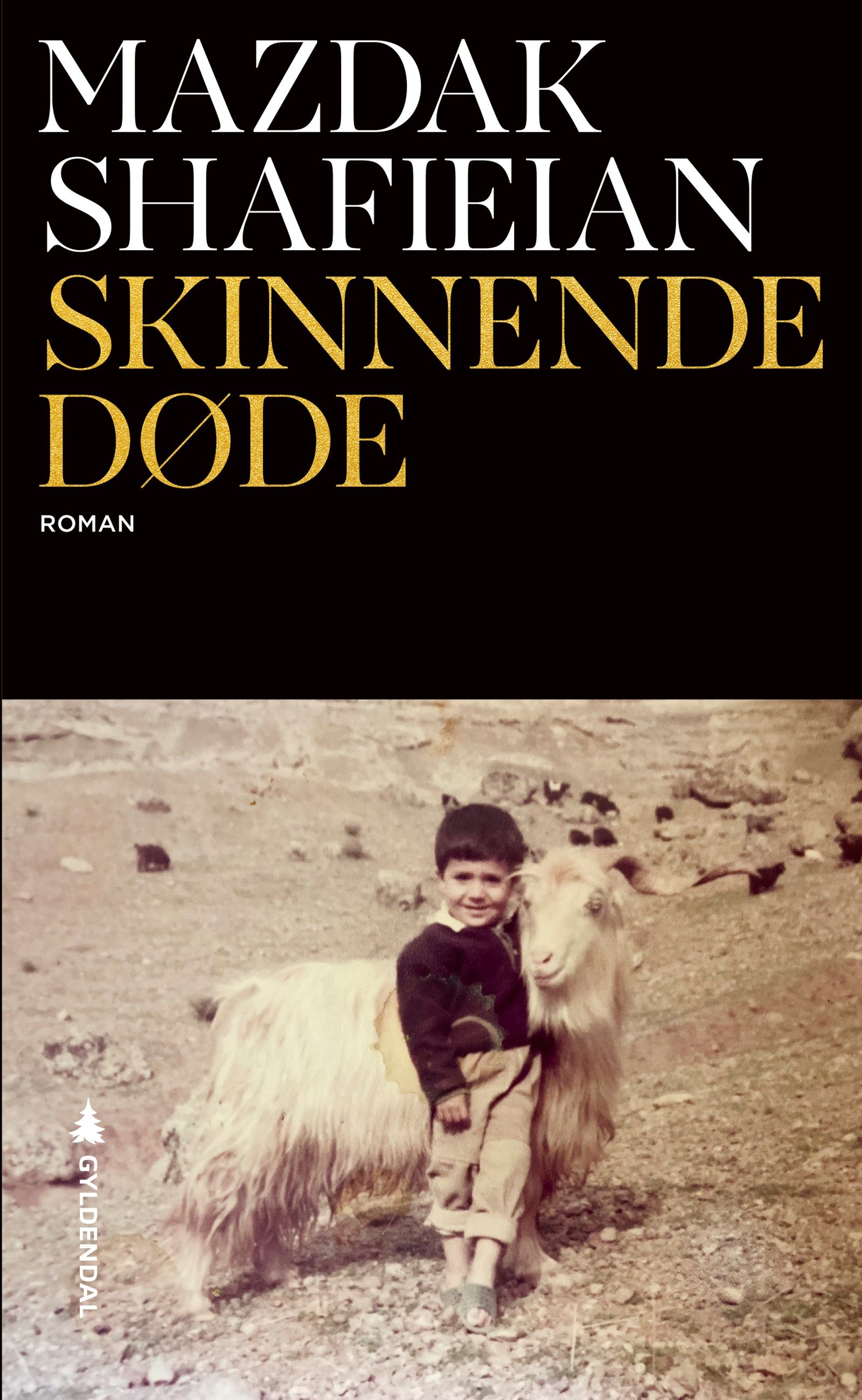 Cover of Shining Dead