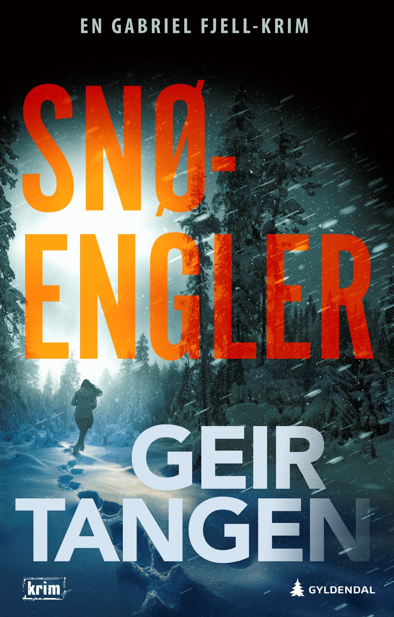 Cover of Snow Angels