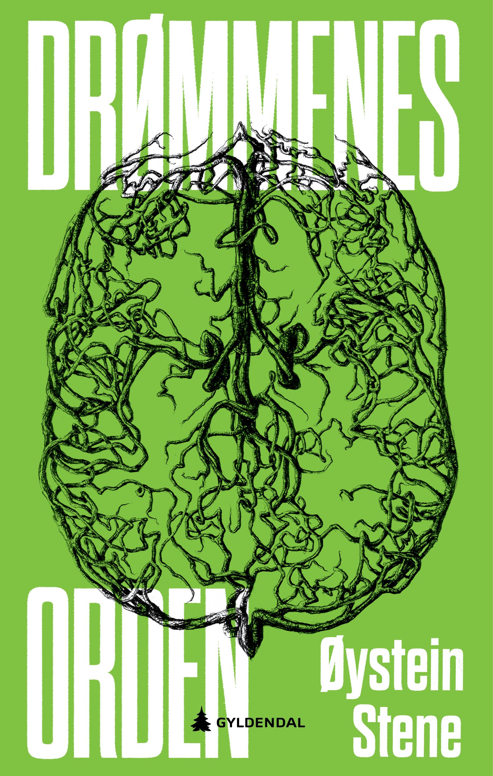 Cover of The Order of Dreams