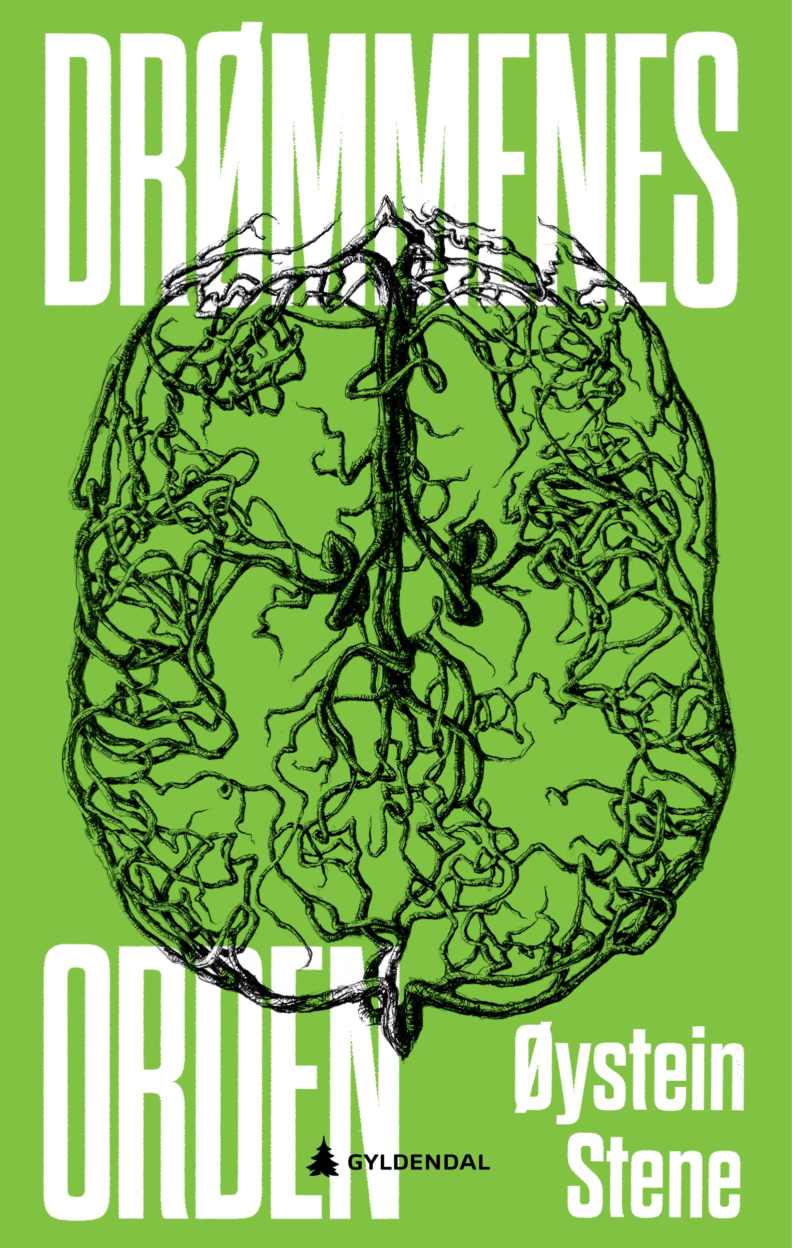 Cover of The Order of Dreams