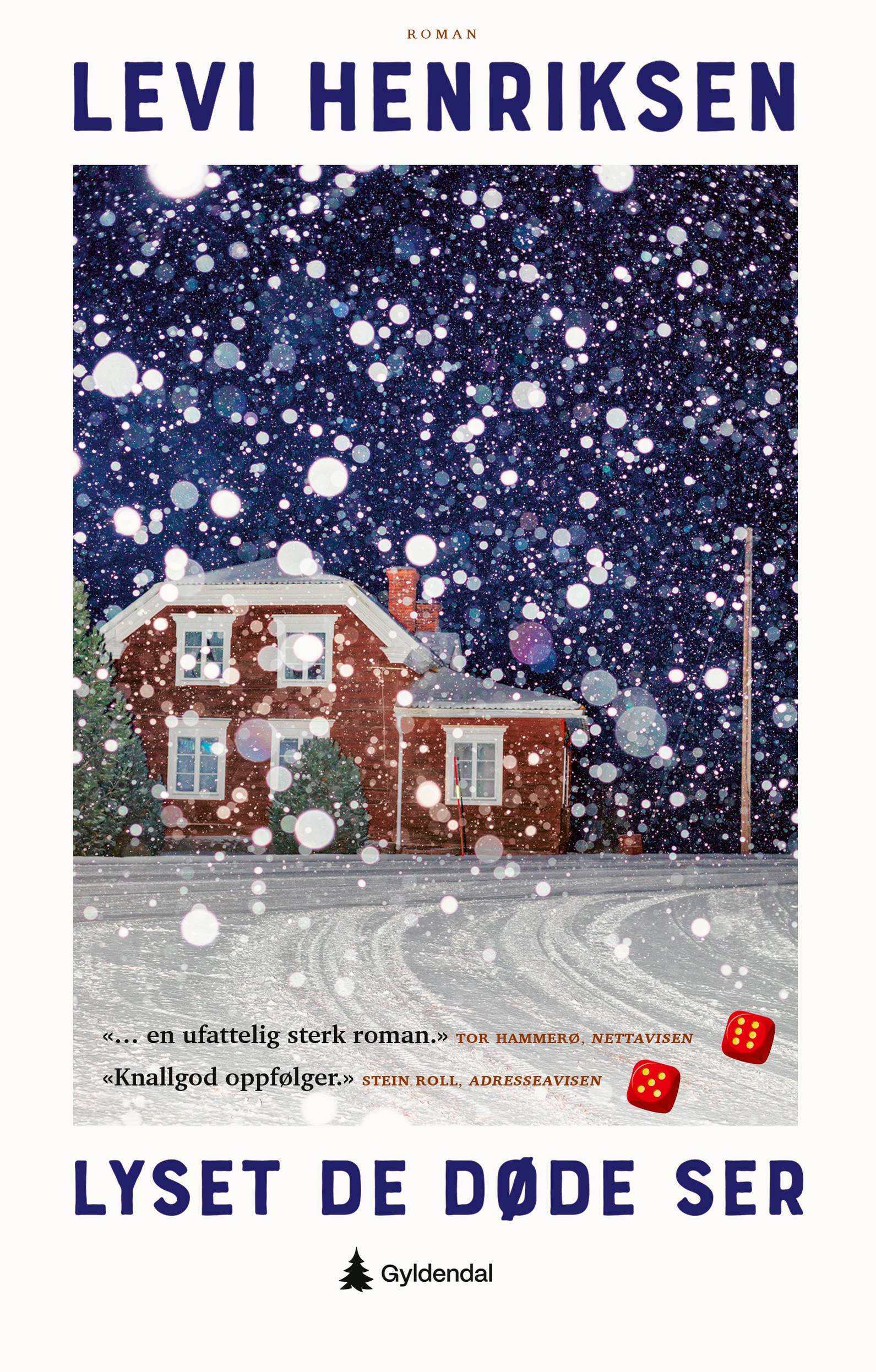 Cover of The Light Beyond