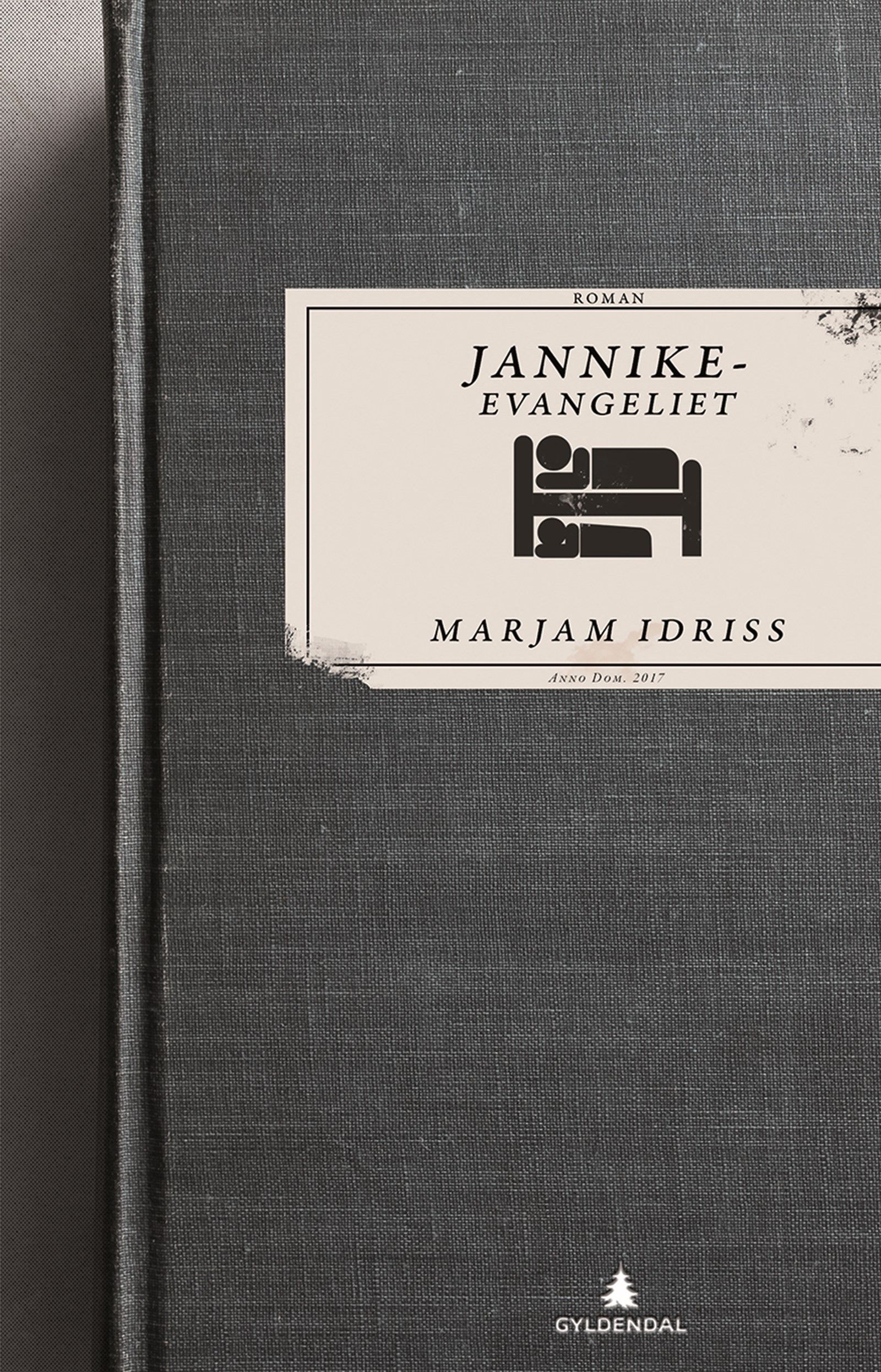 Cover of The Gospel According to Jannike