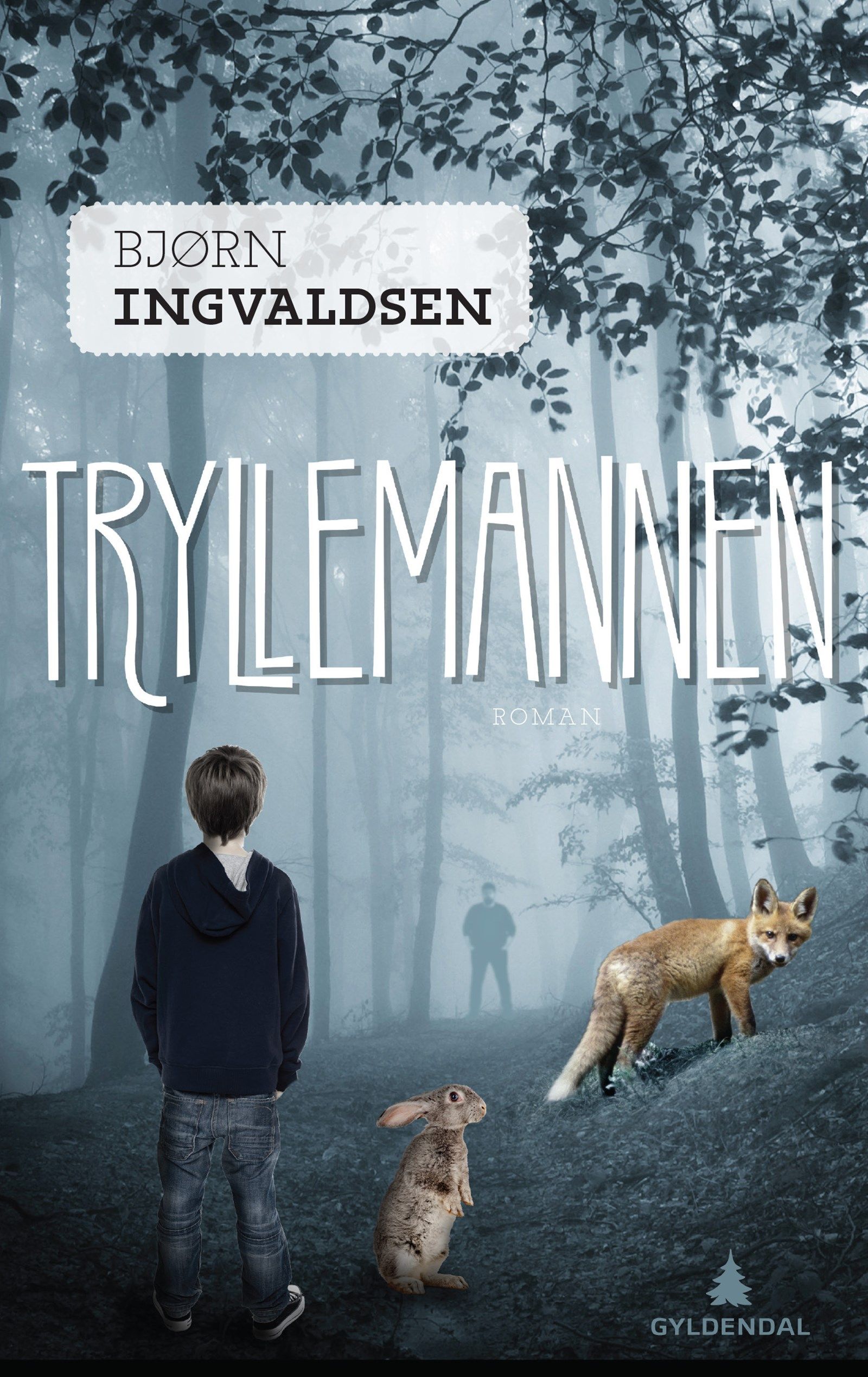 Cover of The Magic Man