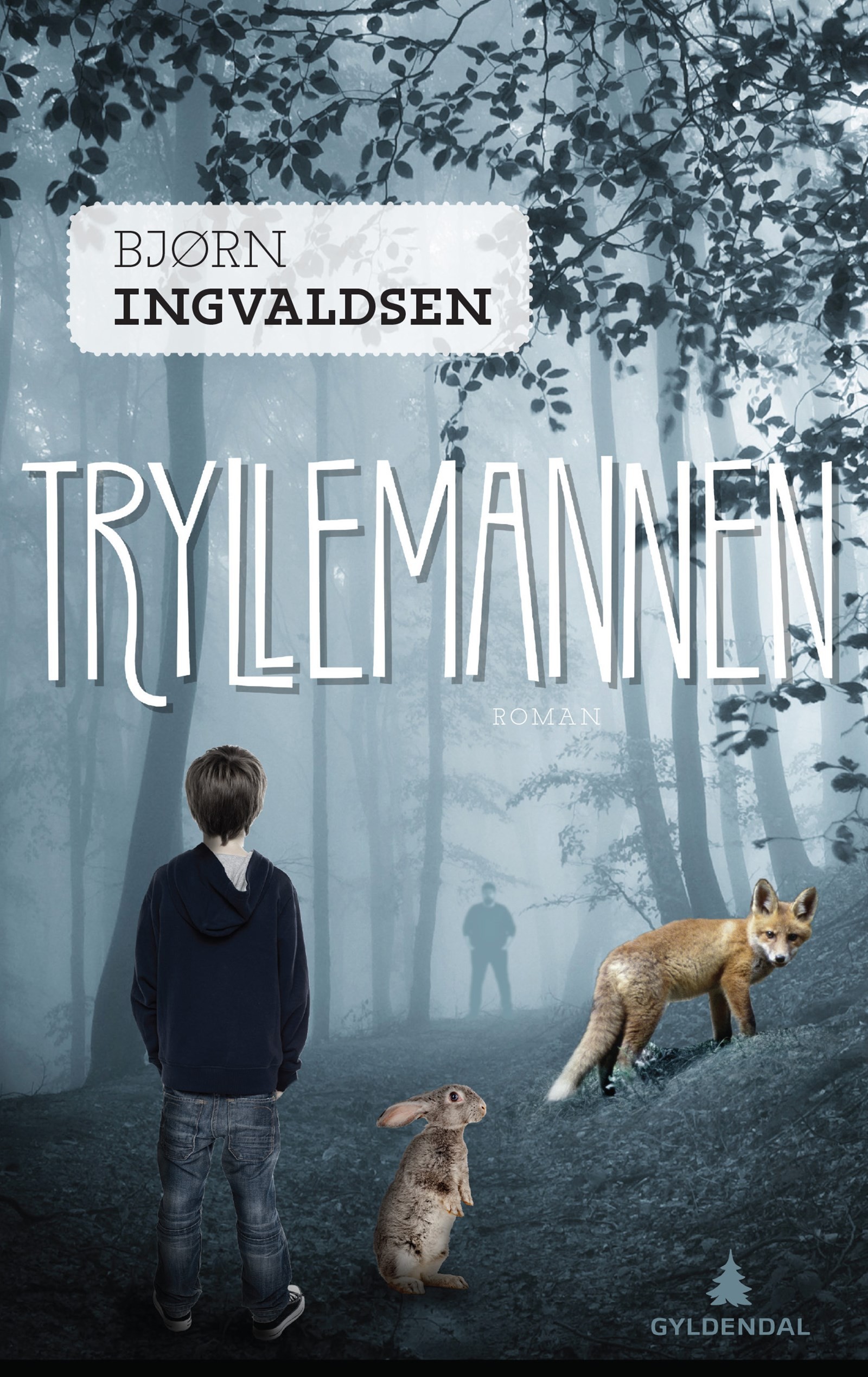 Cover of The Magic Man