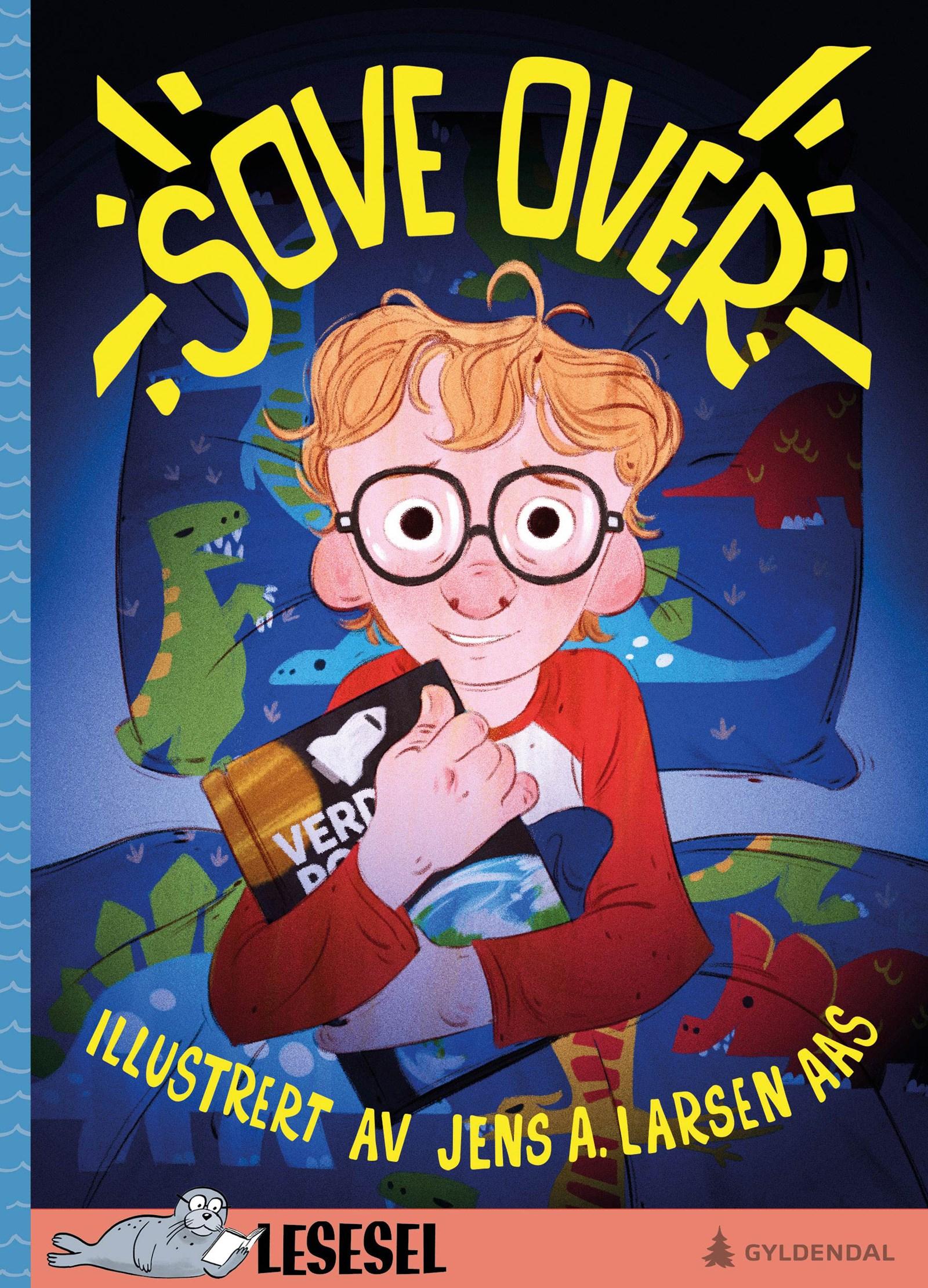 Cover of Sleepover