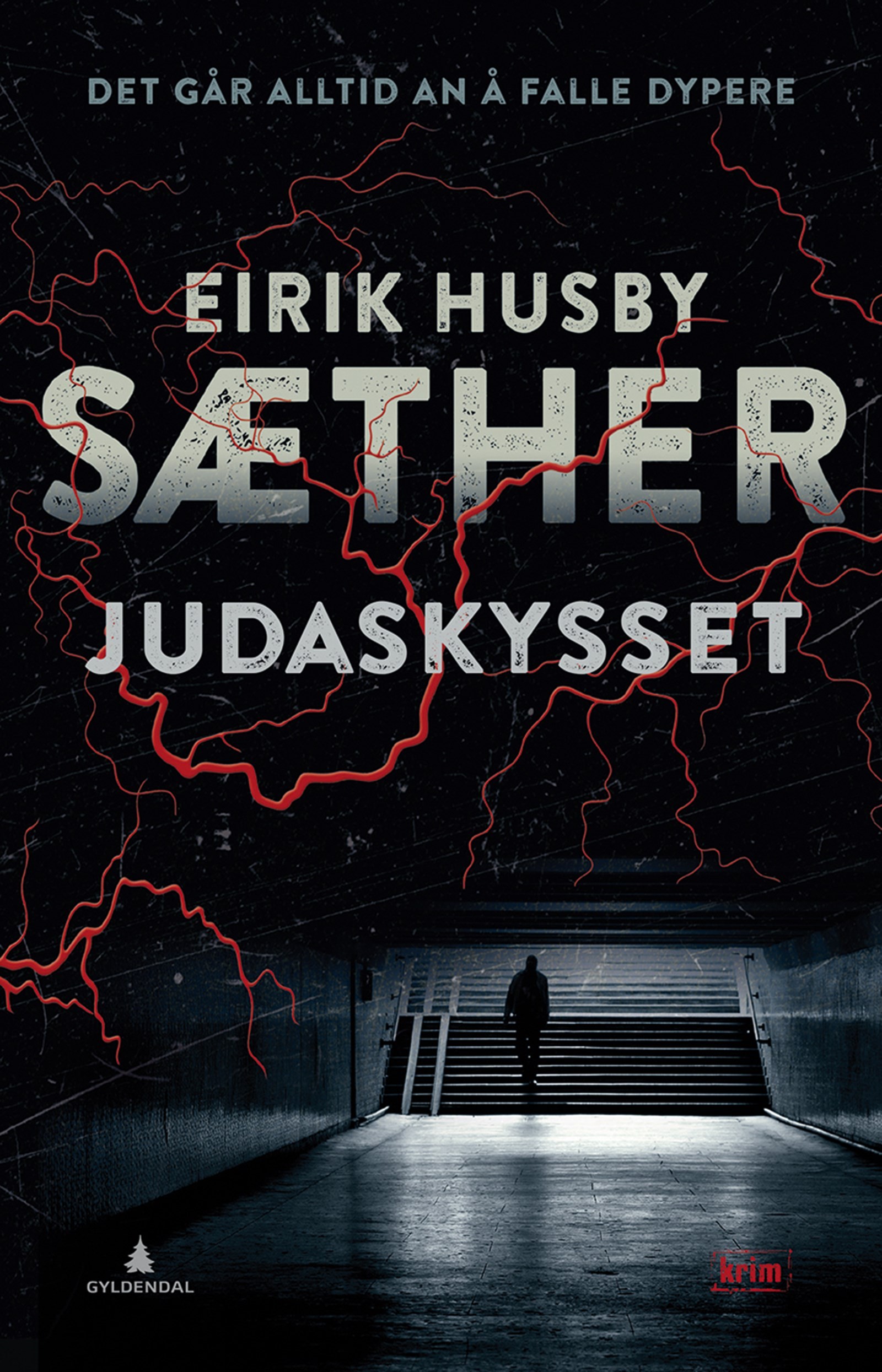 Cover of The Judas Kiss