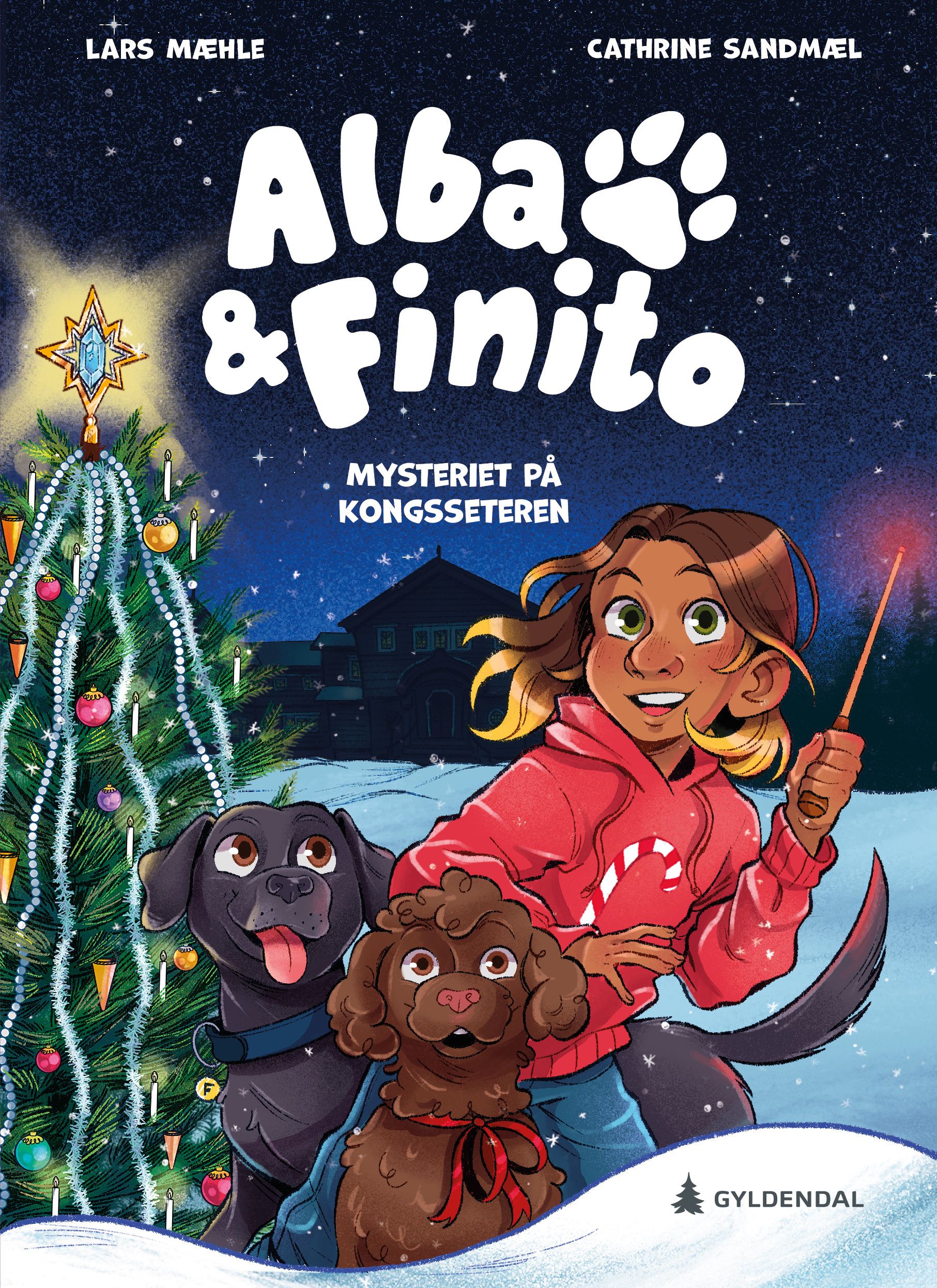 Cover of The Mystery at Kongsseteren