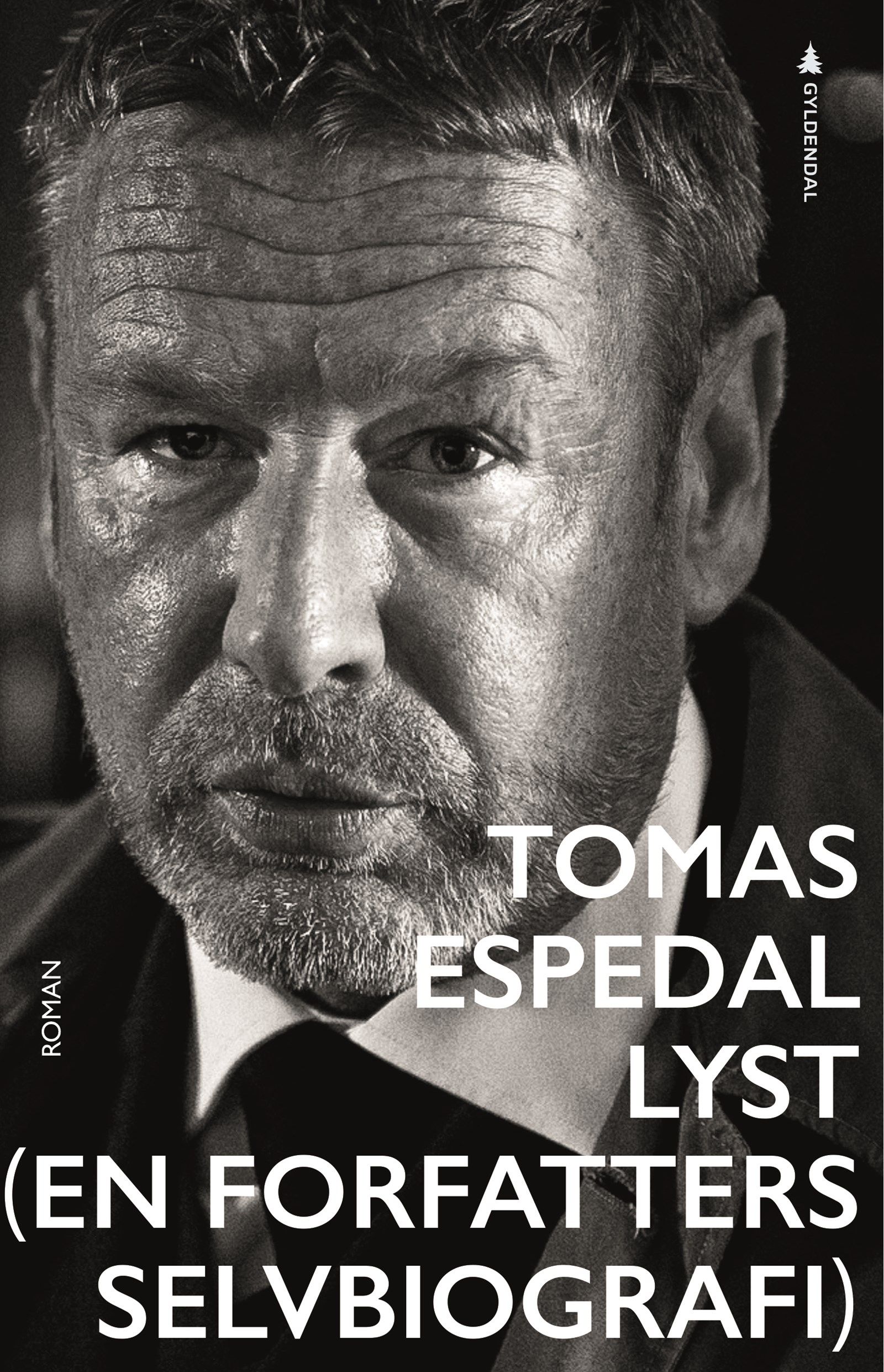 Cover of Desire