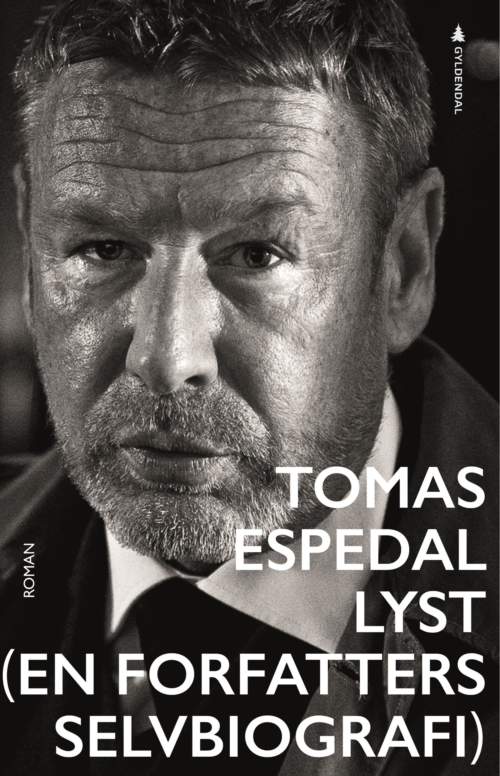 Cover of Desire