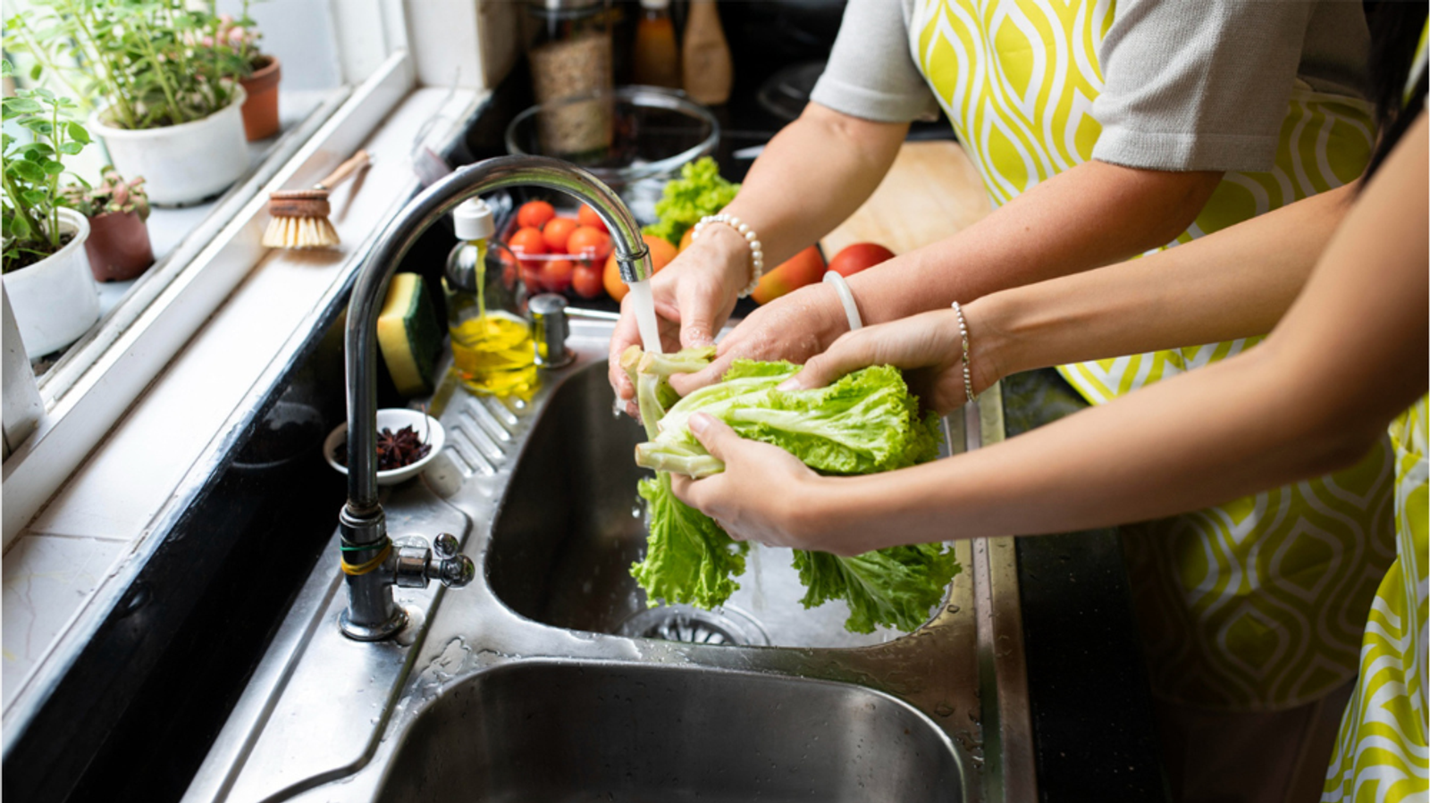 Food Waste Disposers vs. DIY Composting – Which is better?