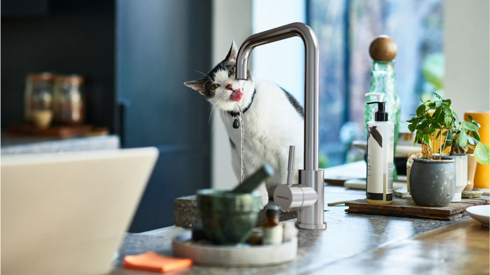 Your Ultimate DIY Guide to Kitchen Faucet Installation