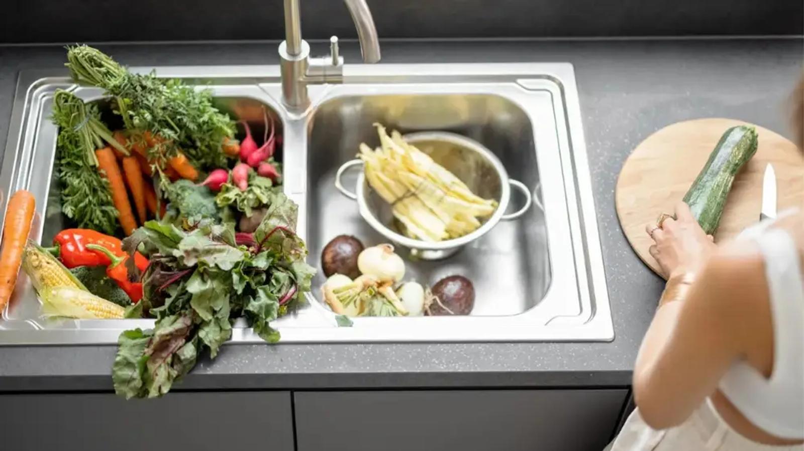 Silent Eco-Heroes: A Kitchen Owner’s Guide to Choosing the Perfect Food Waste Disposer