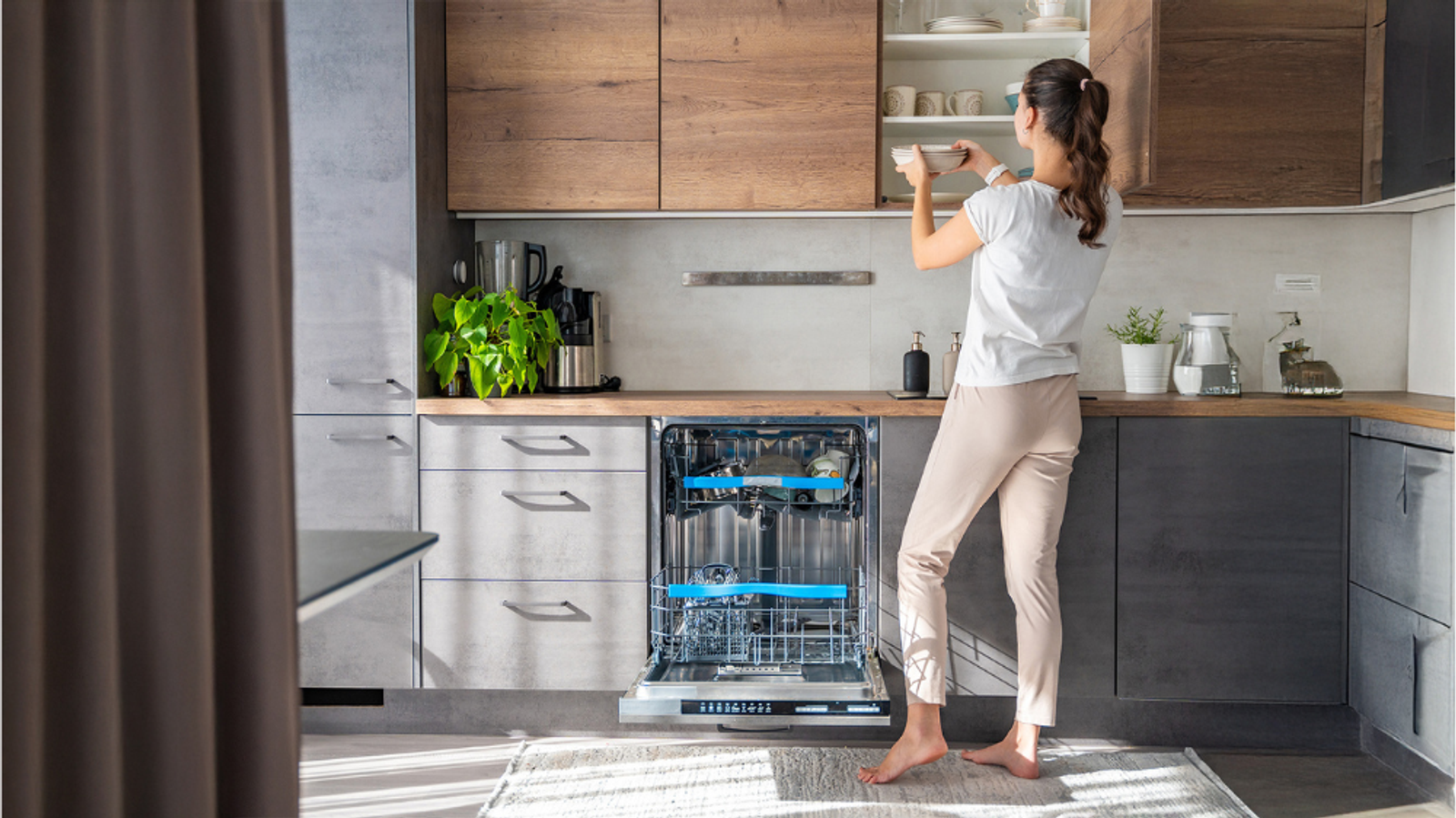 Seamlessly Integrating Your Built-In Dishwasher with Custom Cabinetry: A Guide by Carysil