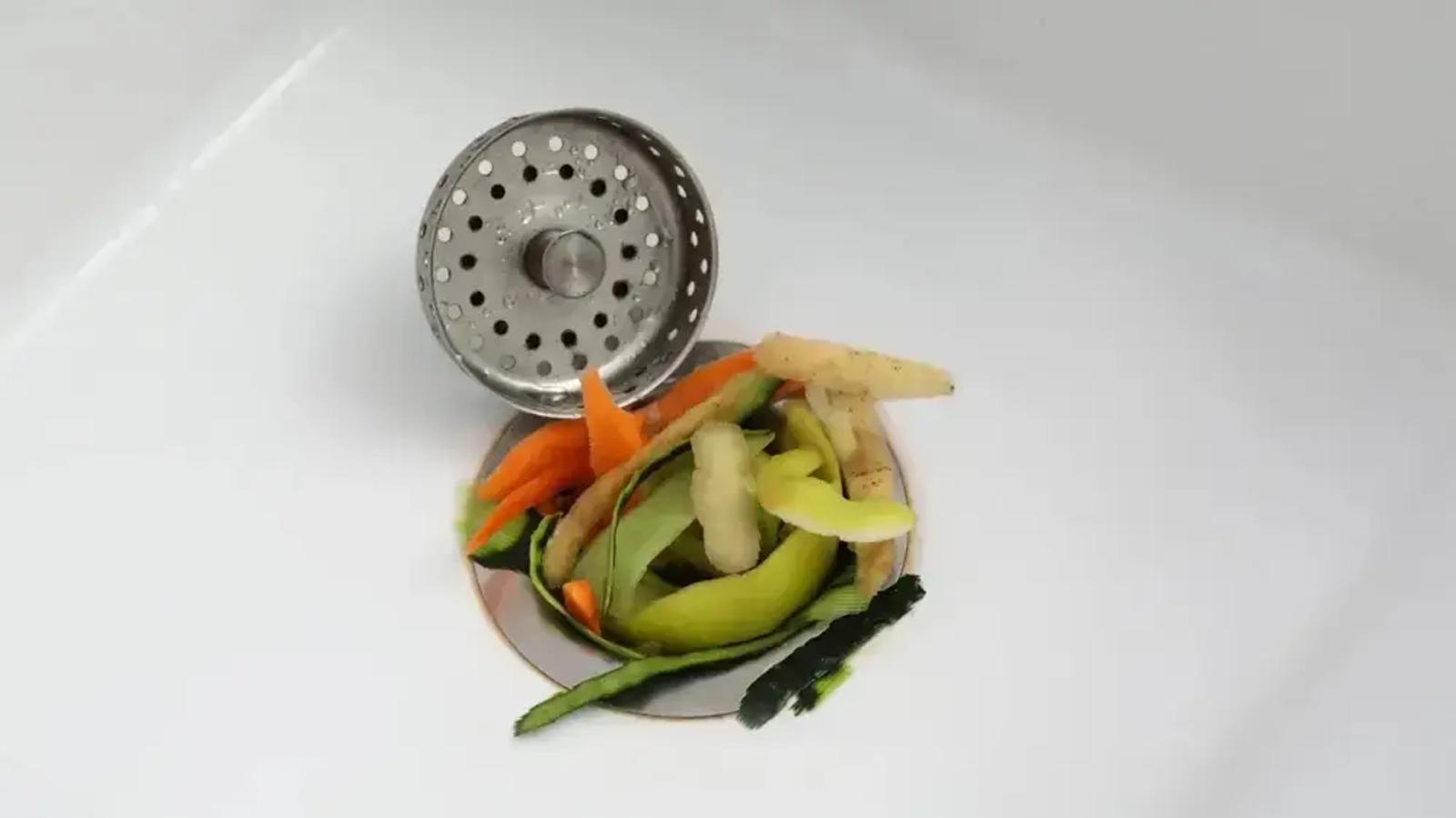 Transforming Trash into Treasure: The Green Revolution of Food Waste Disposers
