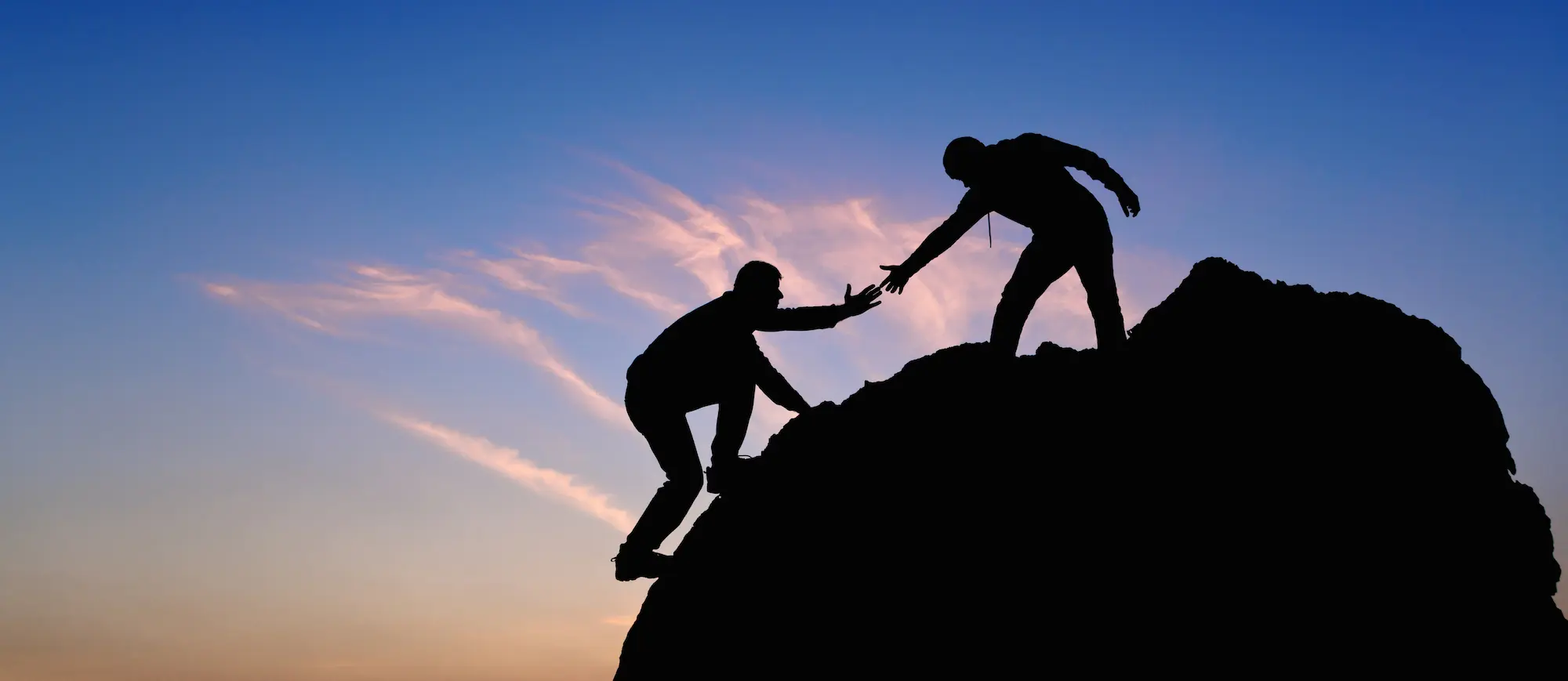The benefits of using a vehicle management company