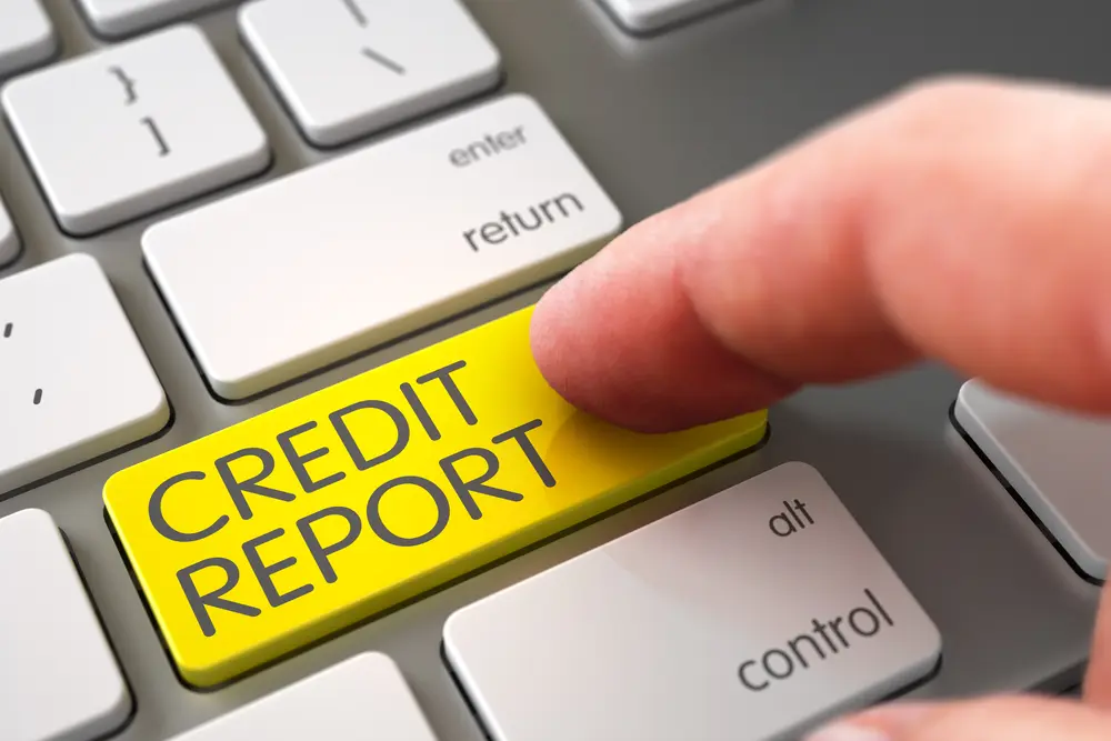 What is a Veda Report?