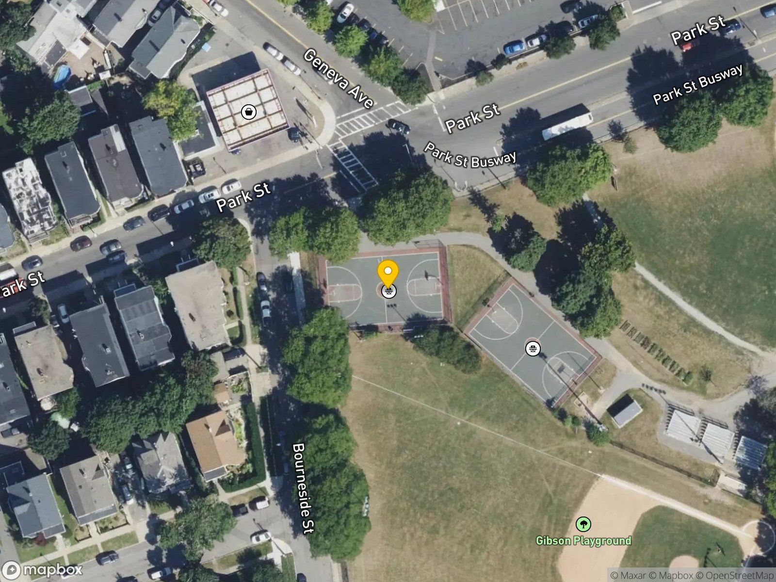 Ronan Park basketball court satellite view