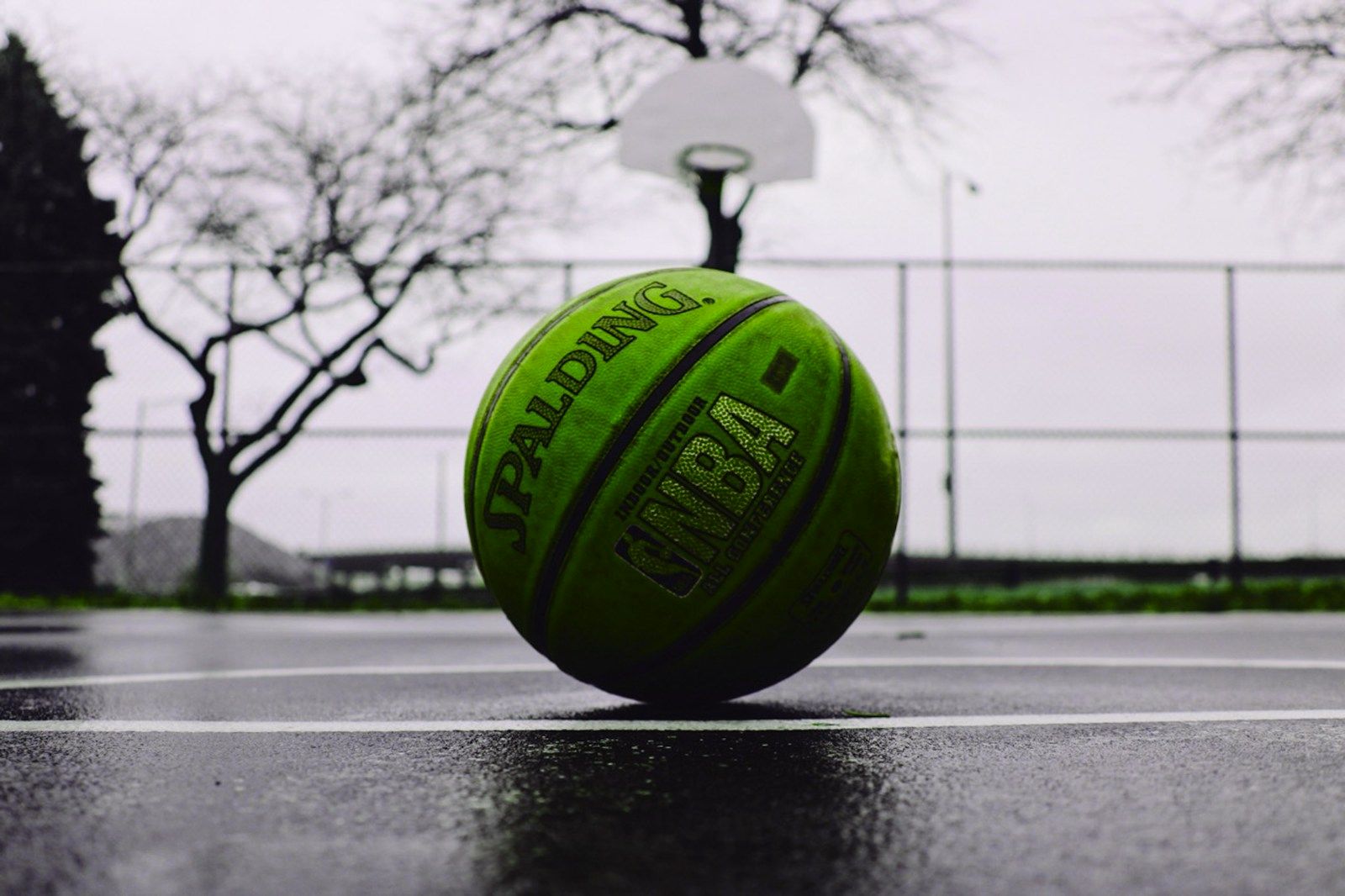 Benito Juárez Courts, Pilsen