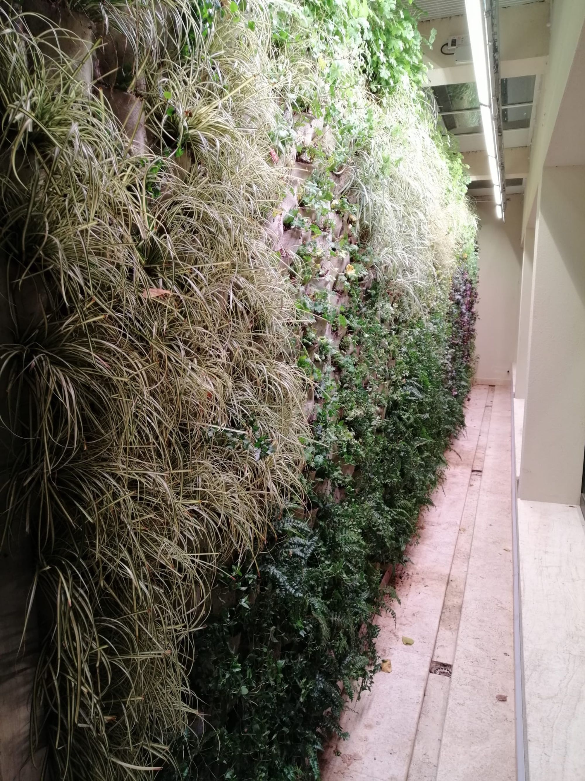 Verde Verticale - Foto 1