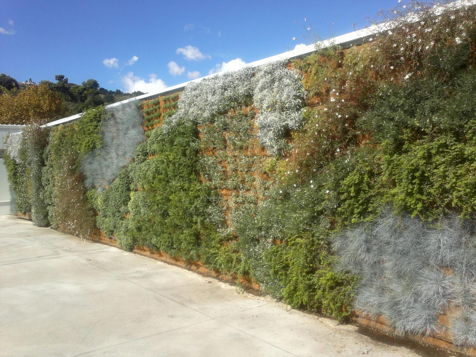 Verde Verticale