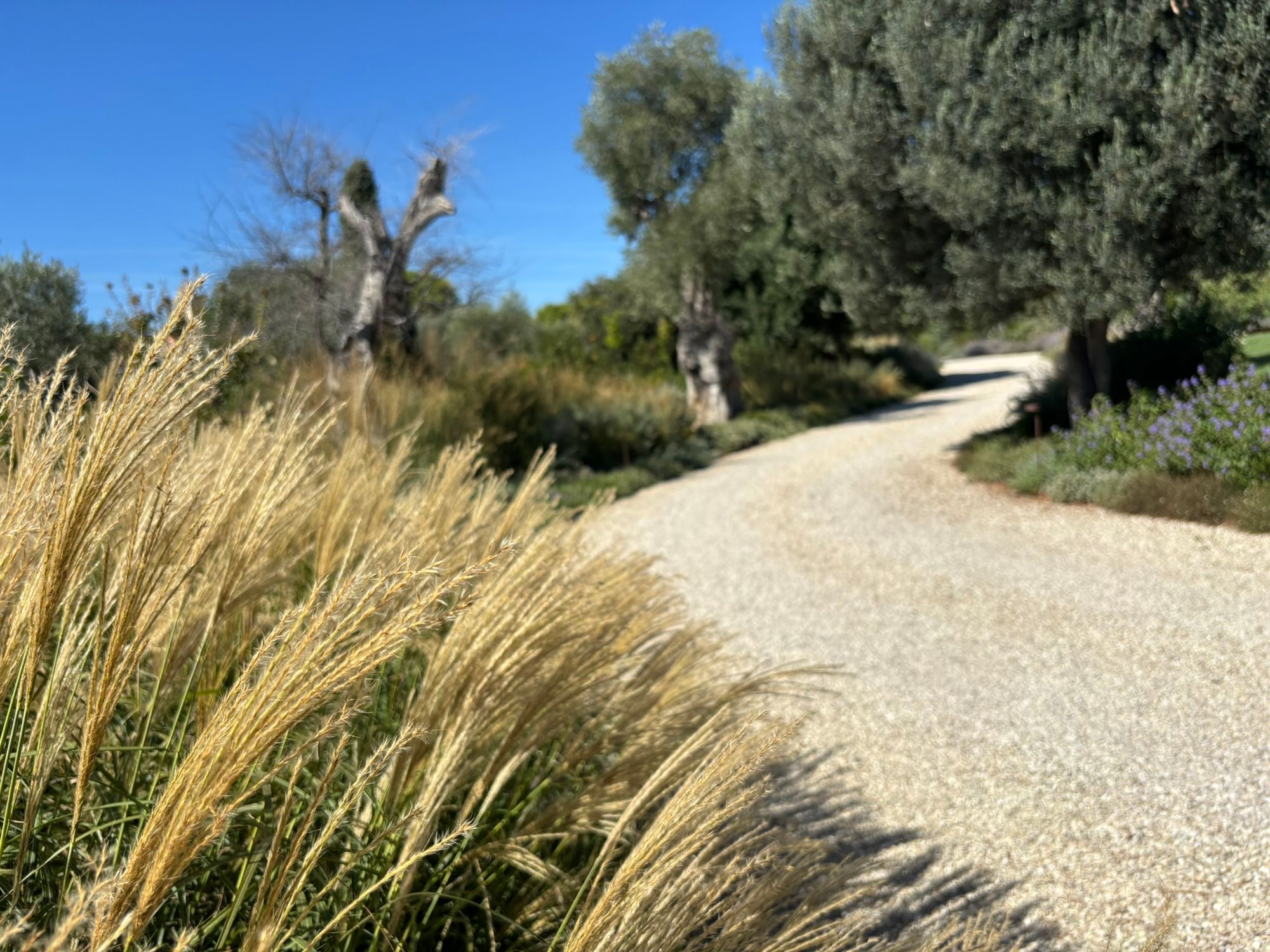 Villa Privata Grottammare - Foto 23
