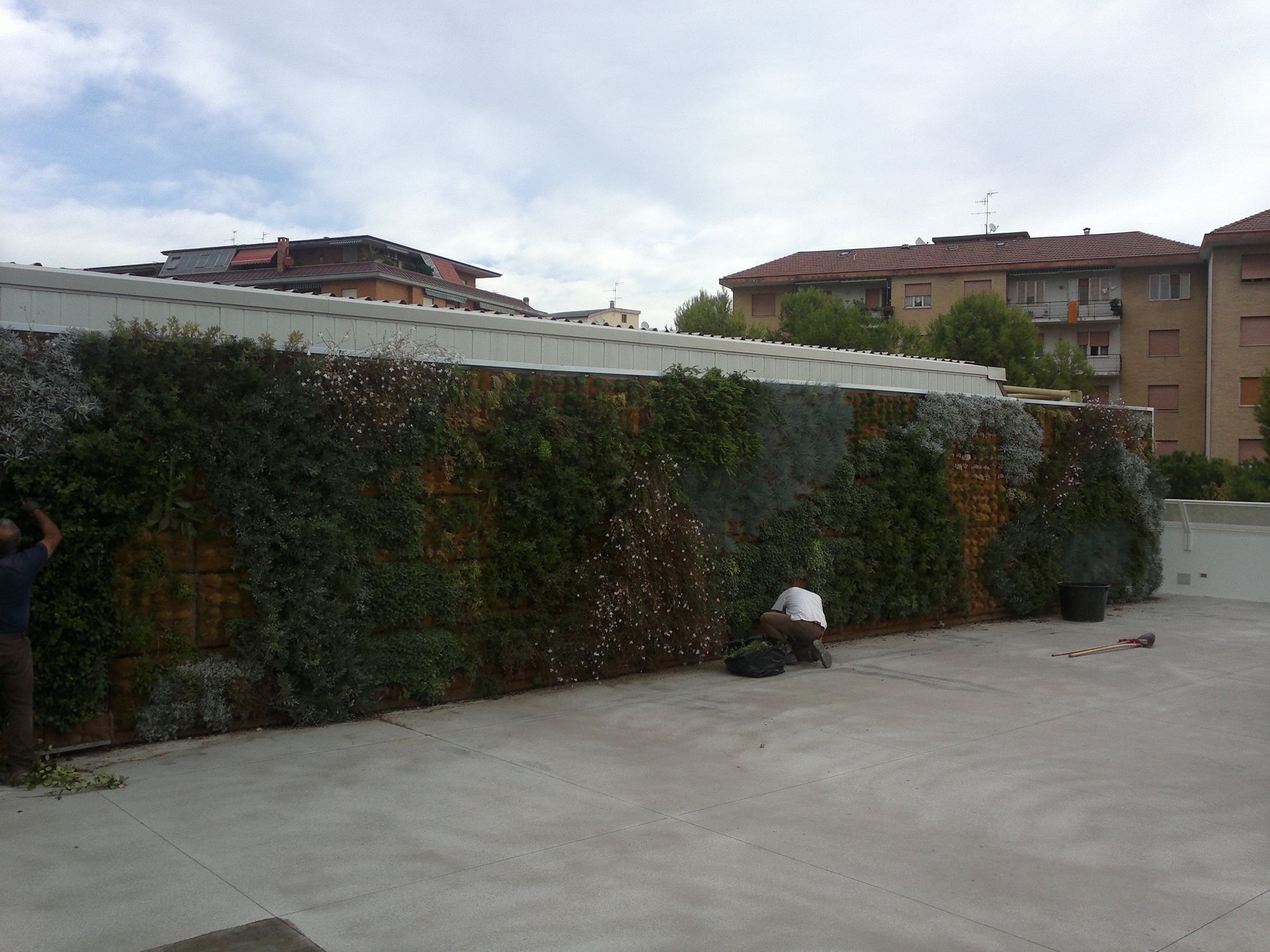 Verde Verticale - Foto 3