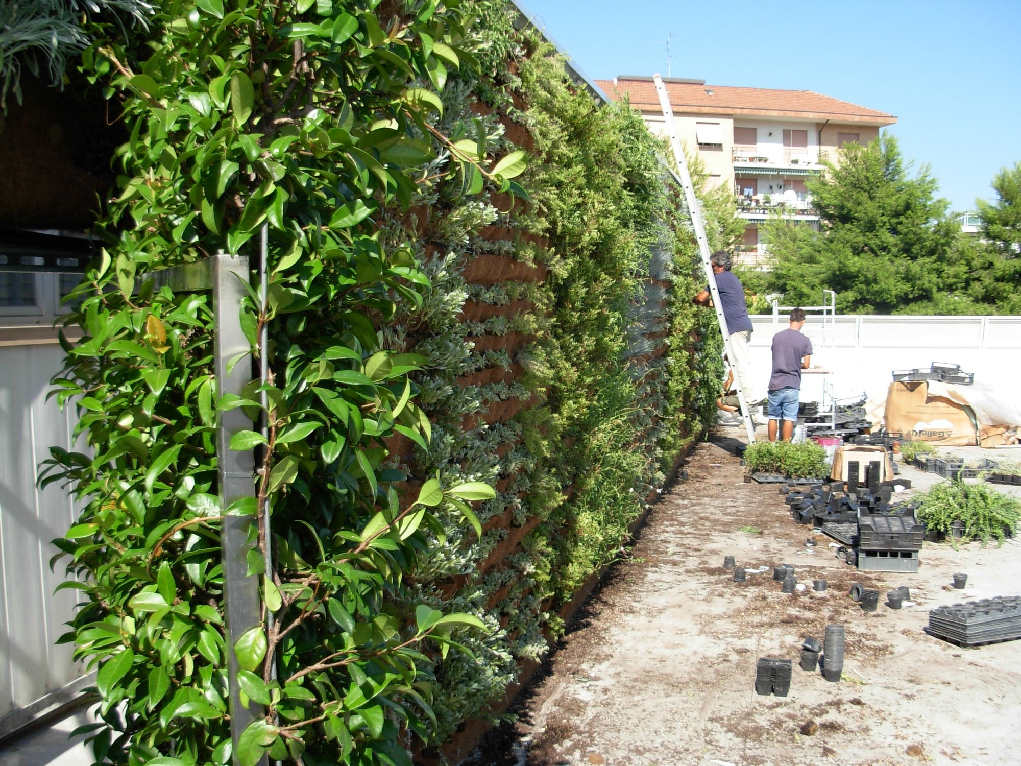 Verde Verticale - Foto 8