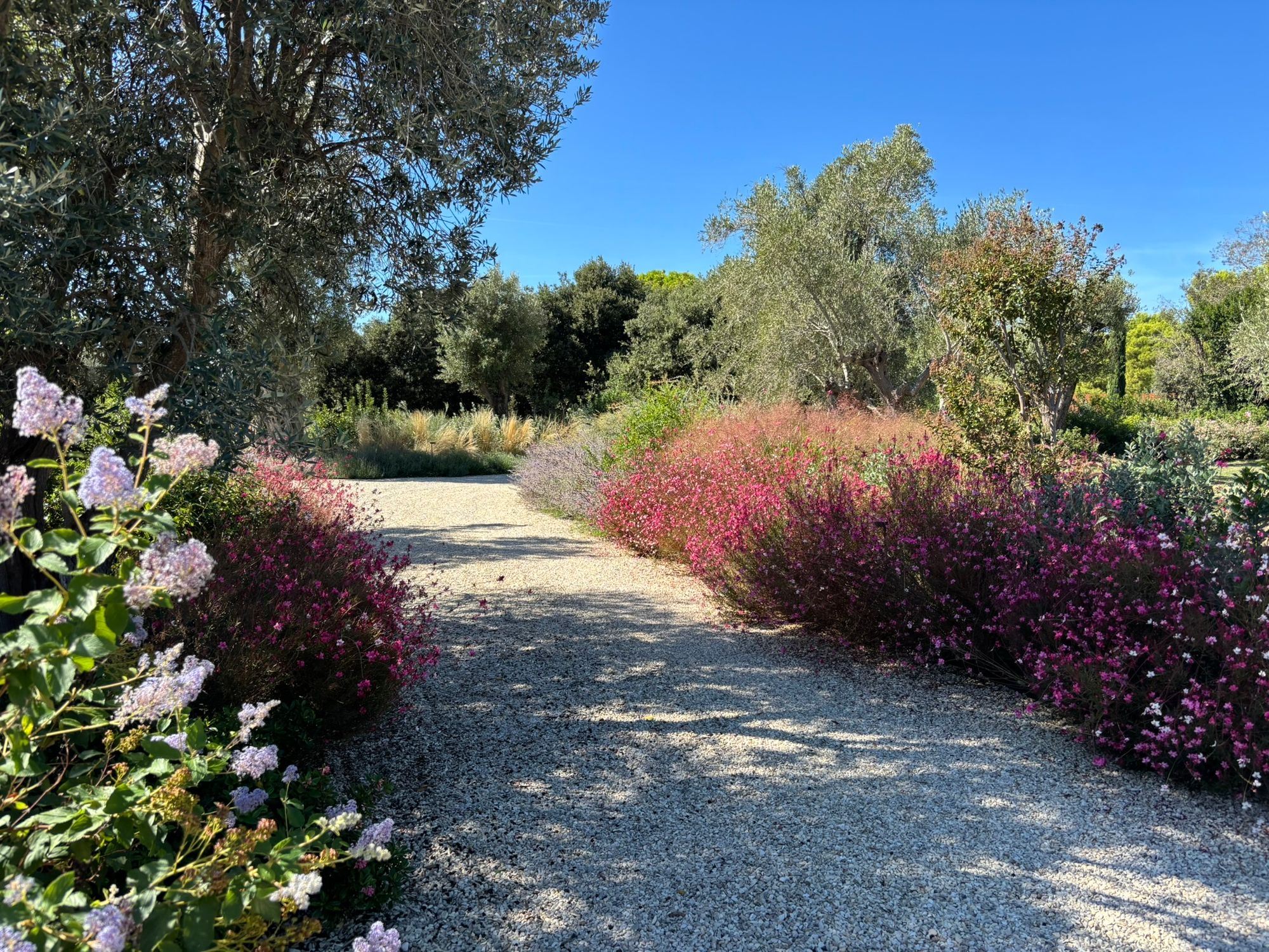 Villa Privata Grottammare - Foto 22