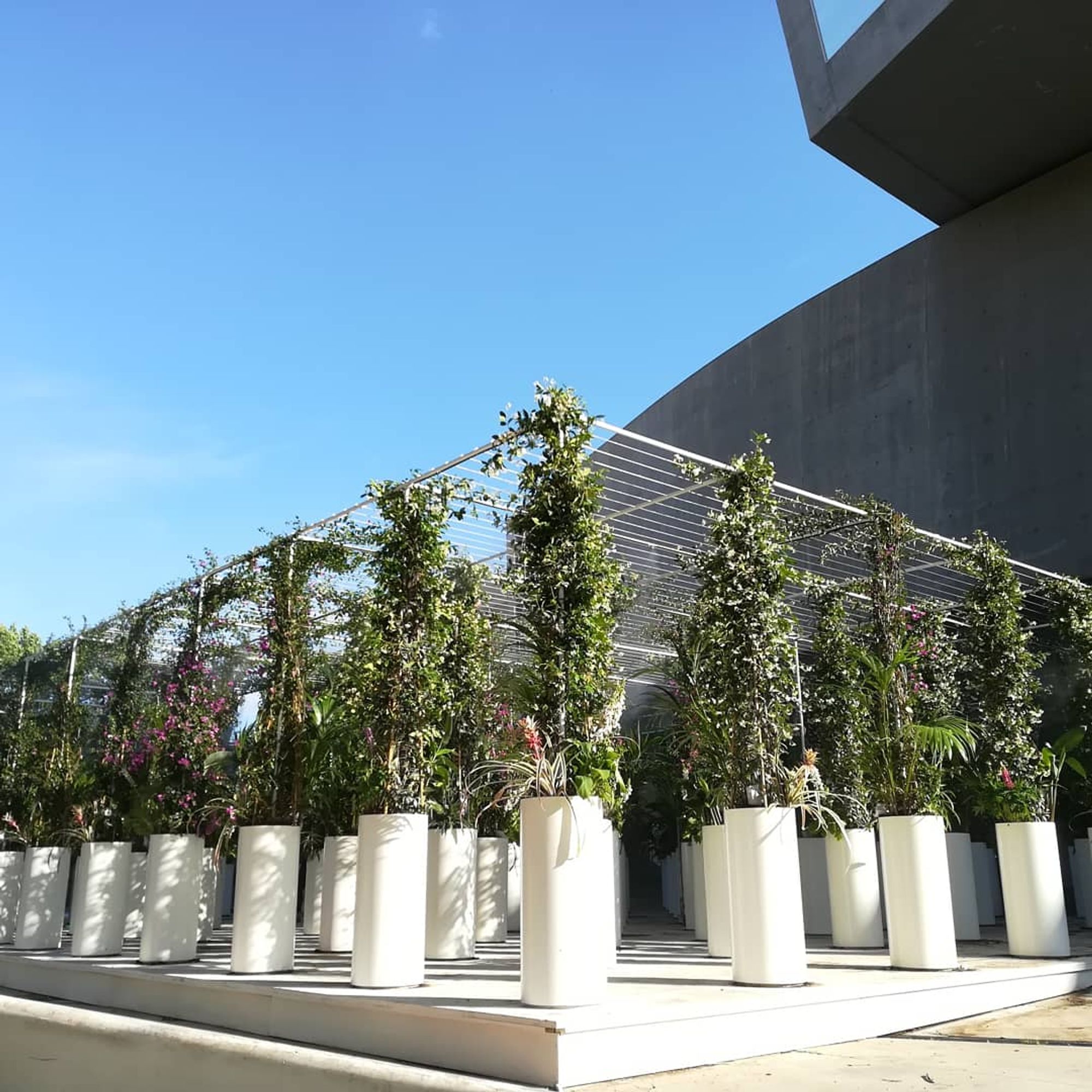 Maxxi - Foto 4
