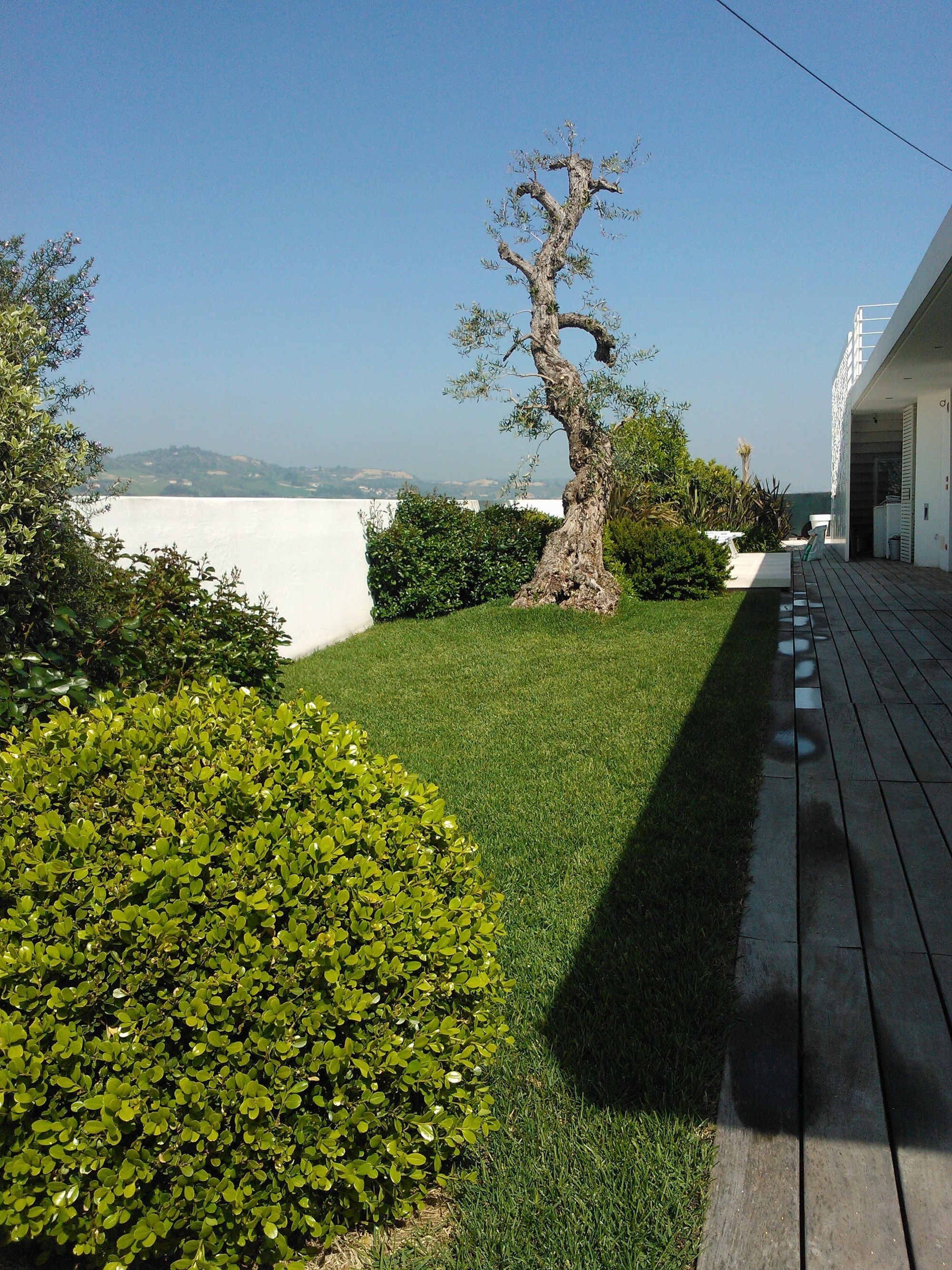Appartamento Privato - Foto 4