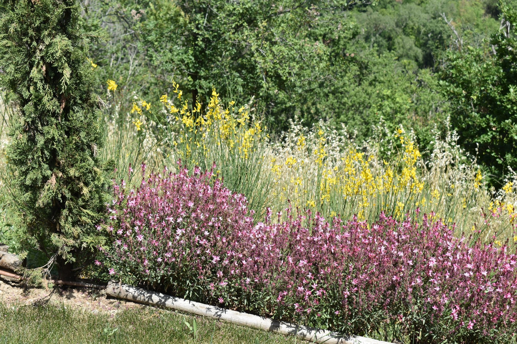 Villa Privata - Foto 16