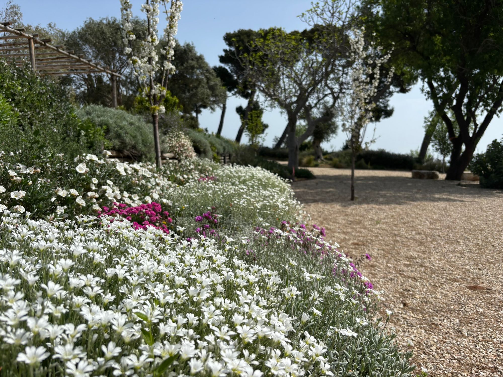 Villa Privata Grottammare - Foto 28