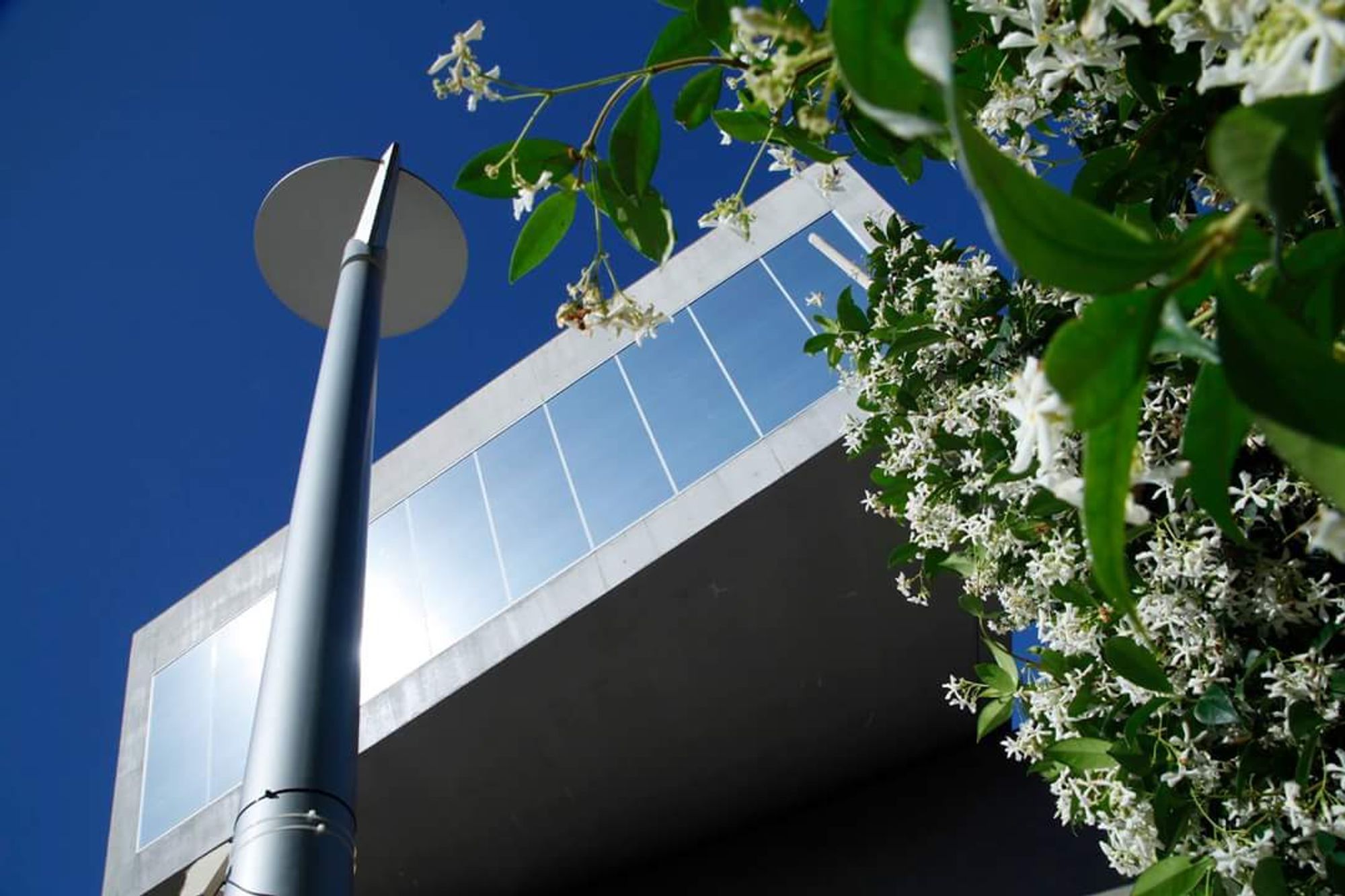 Maxxi - Foto 9