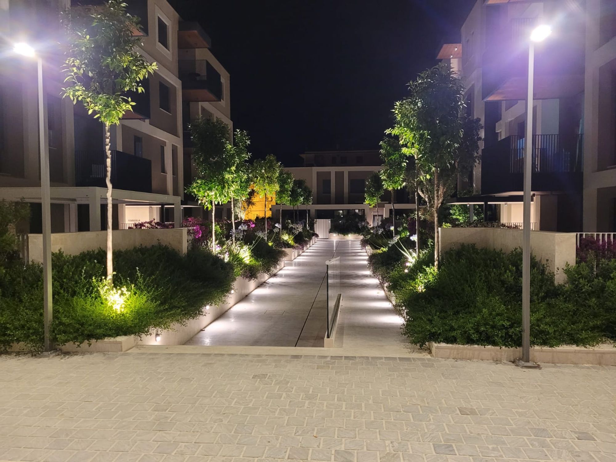 Parco Damiani - Foto 14