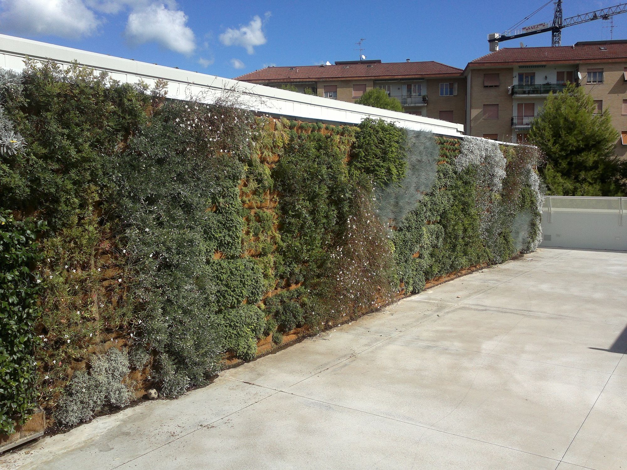 Verde Verticale - Foto 5