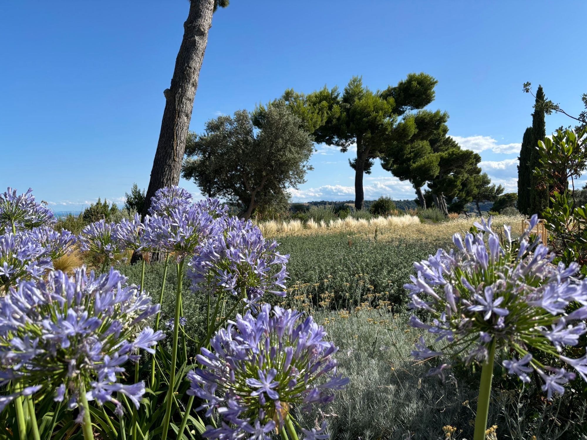 Villa Privata Grottammare - Foto 12