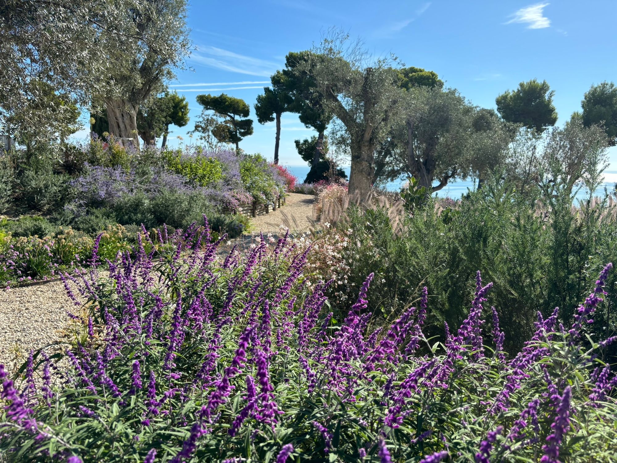 Villa Privata Grottammare - Foto 27