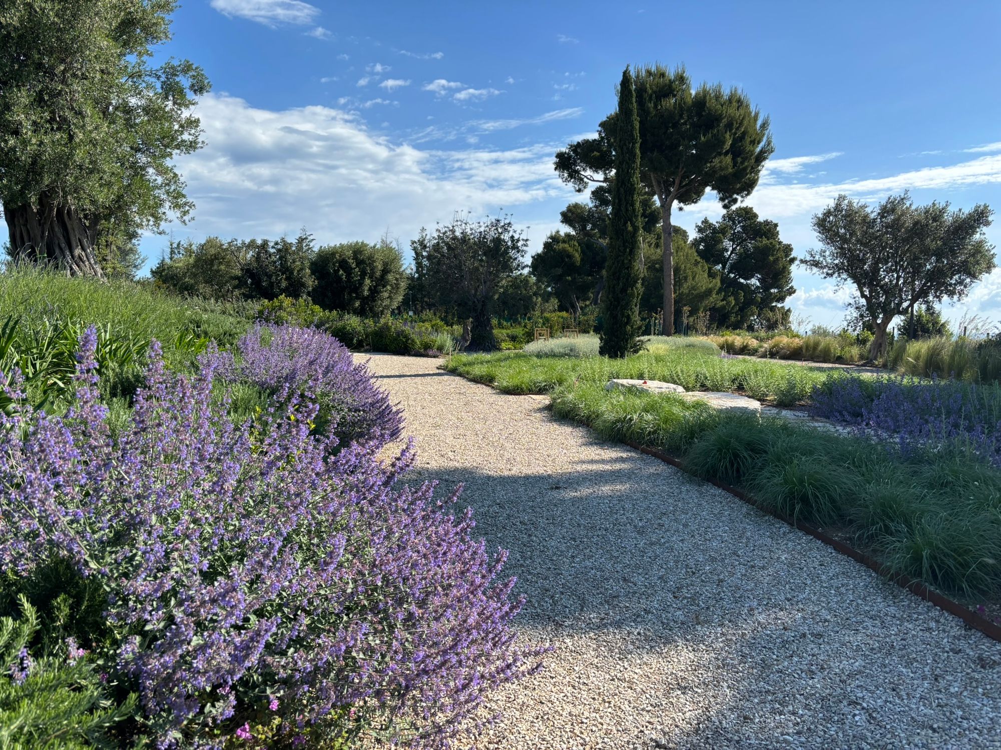Villa Privata Grottammare - Foto 6