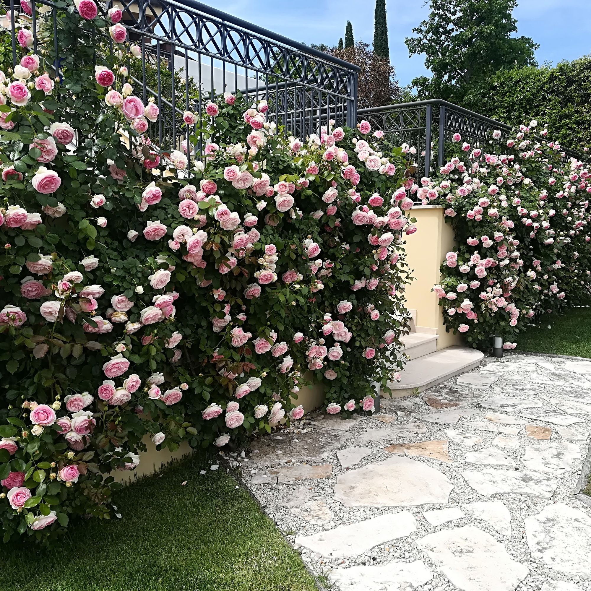 Villa Privata - Foto 15