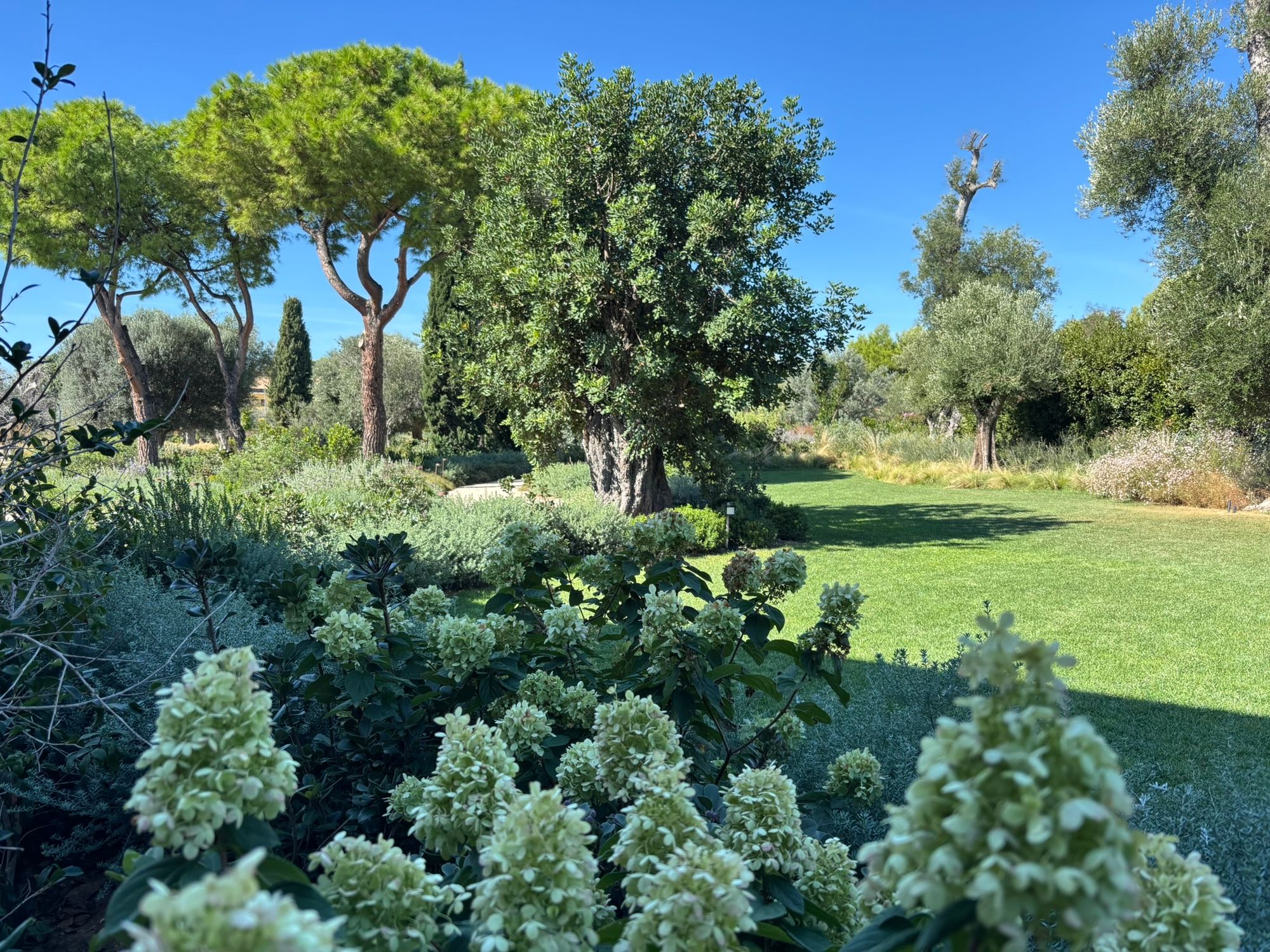 Villa Privata Grottammare - Foto 14