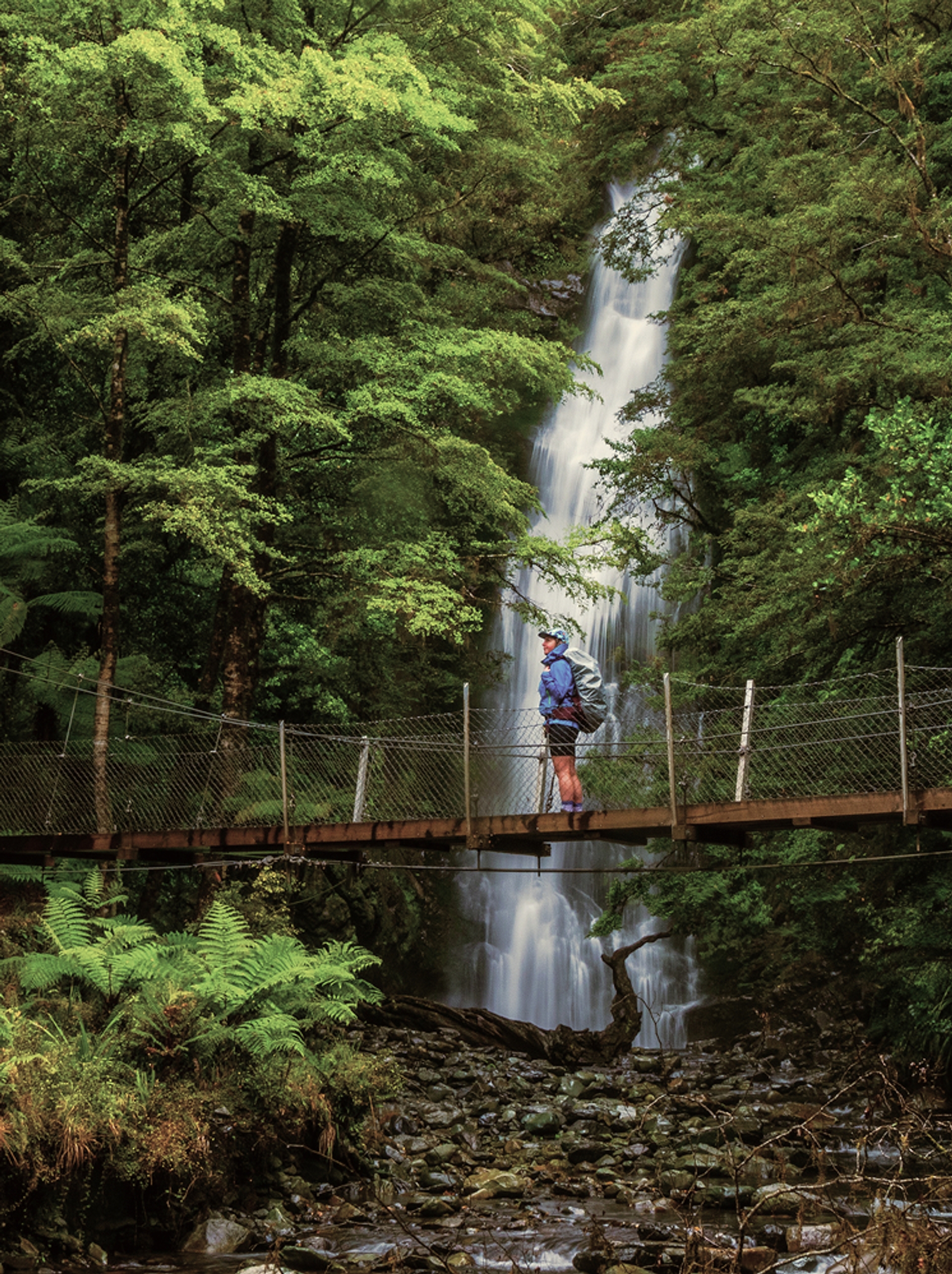Explore Little Homer Falls along Hollyford Track.