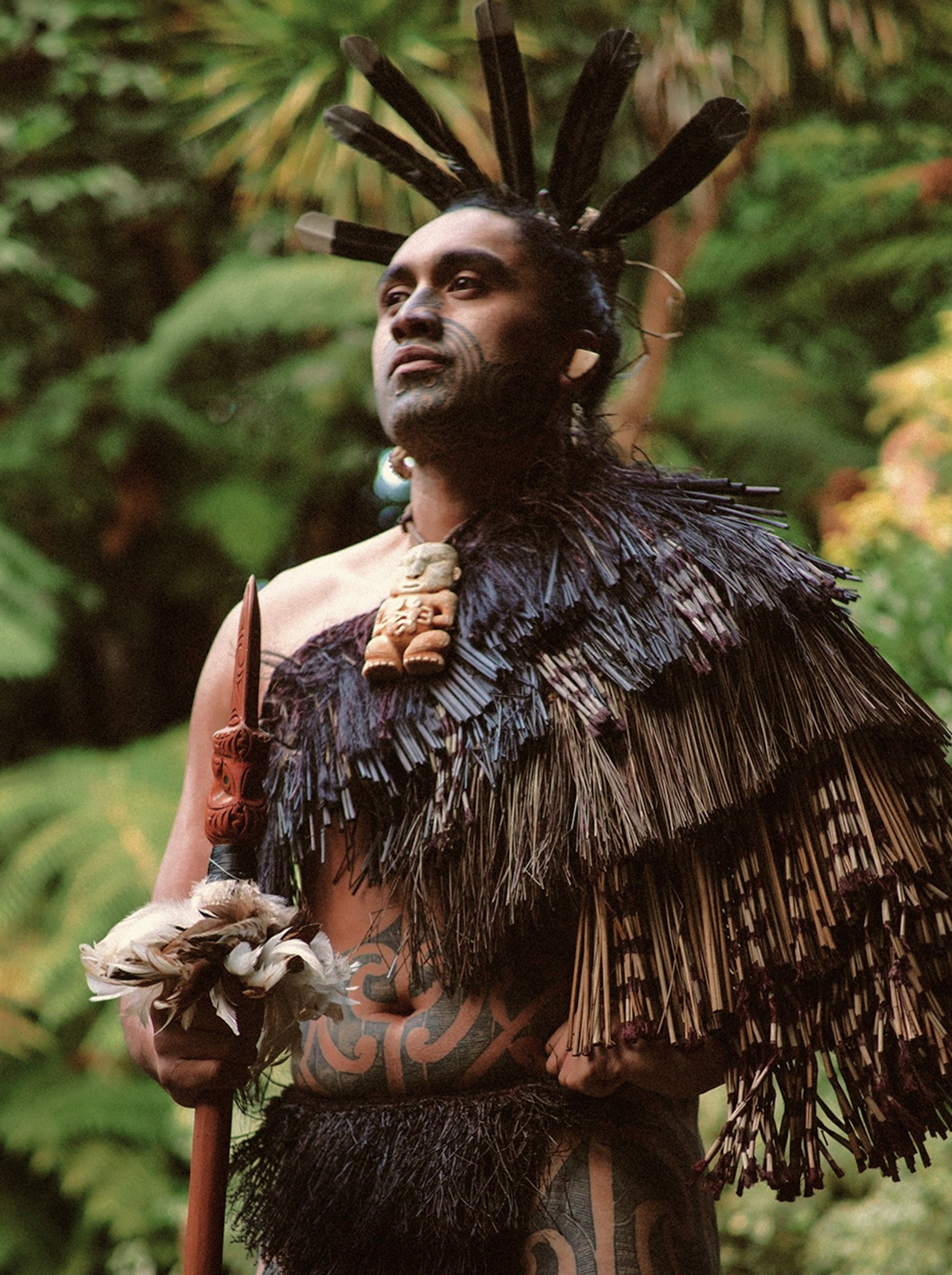 Rotorua Te Pa Tu